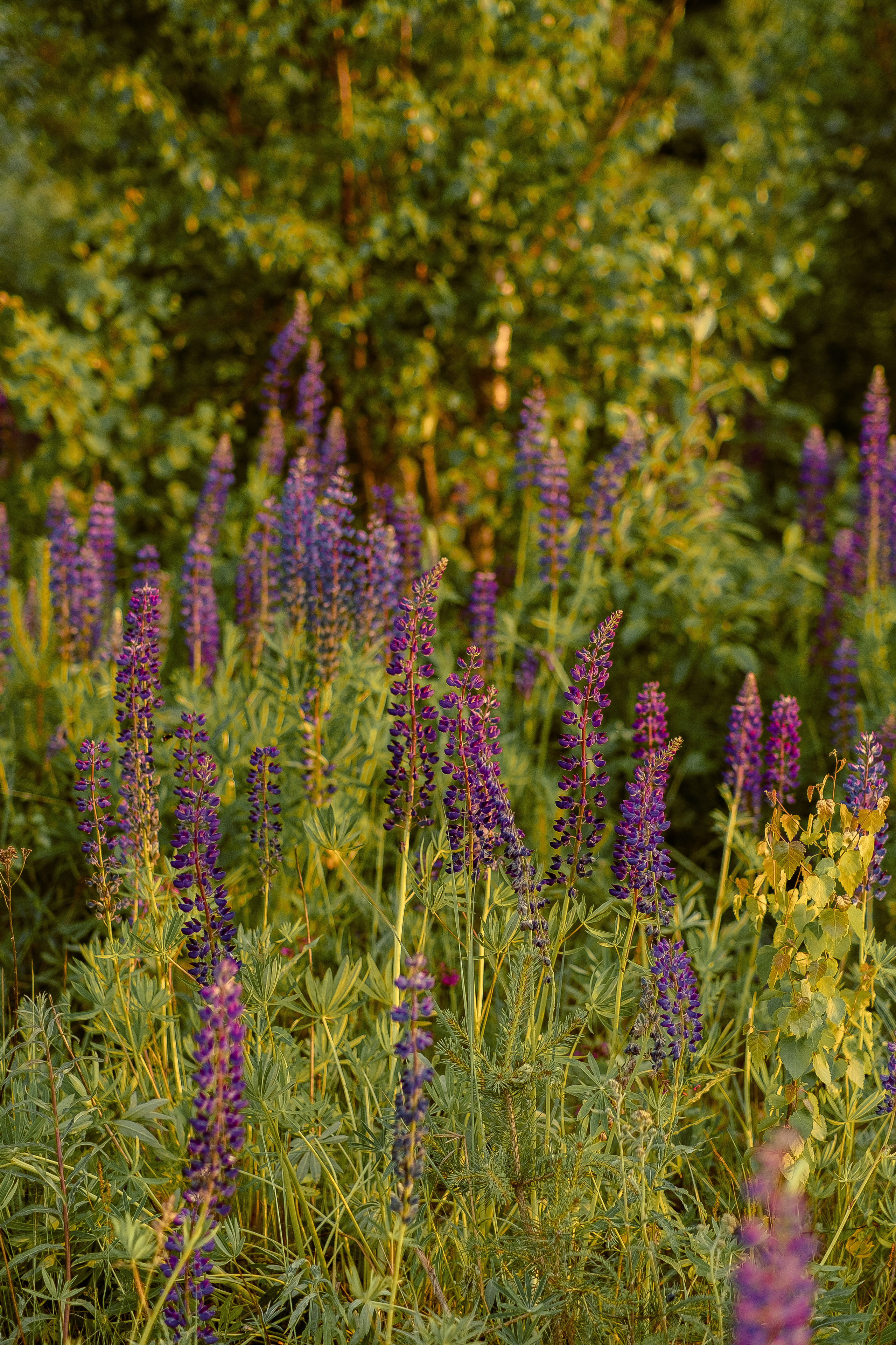 Съемка в ожидании в Санкт-Петербурге