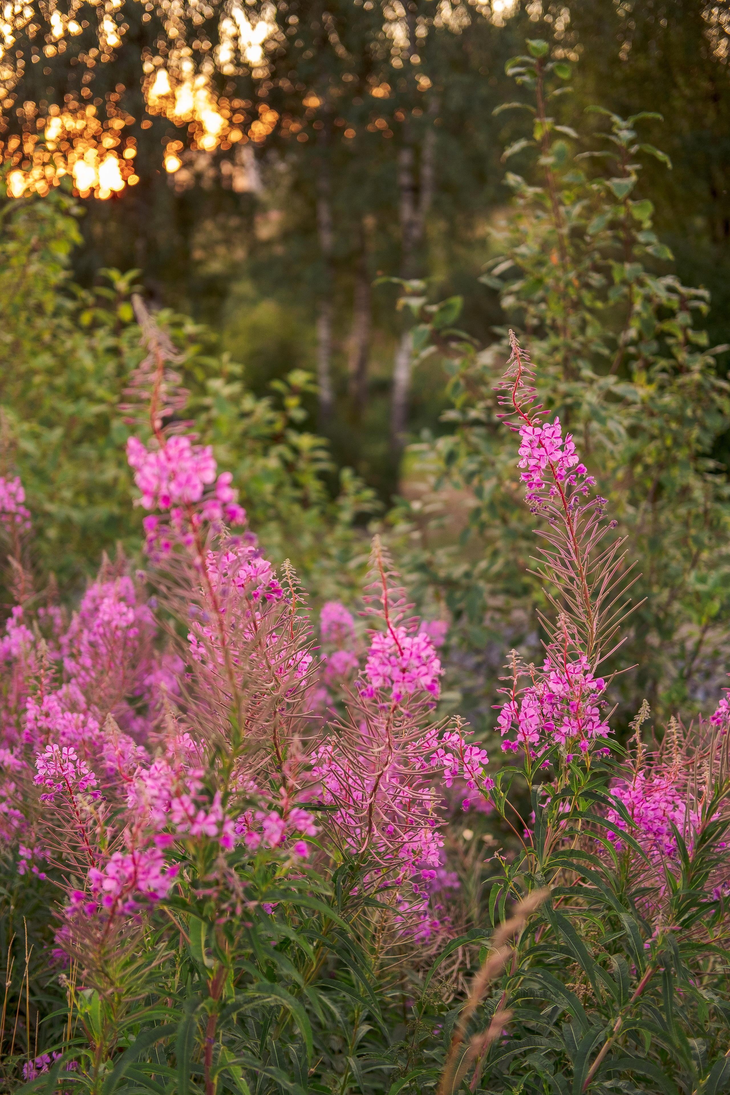 Уличная женская фотосессия в Питере