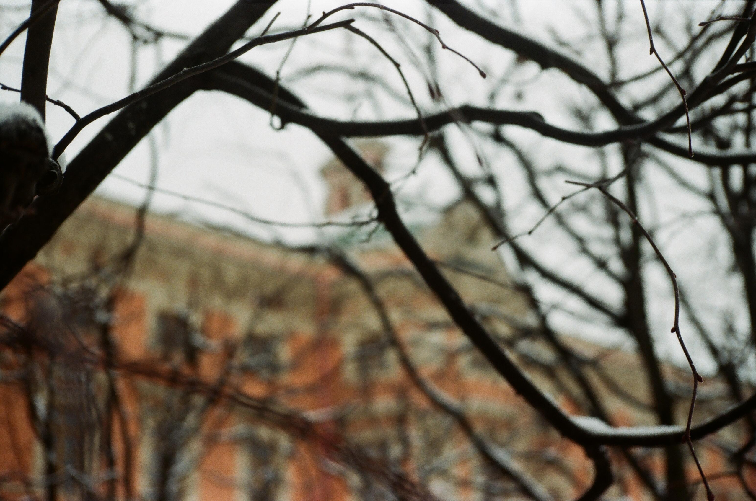 Анна Павлова блогер из Санкт-Петербурга