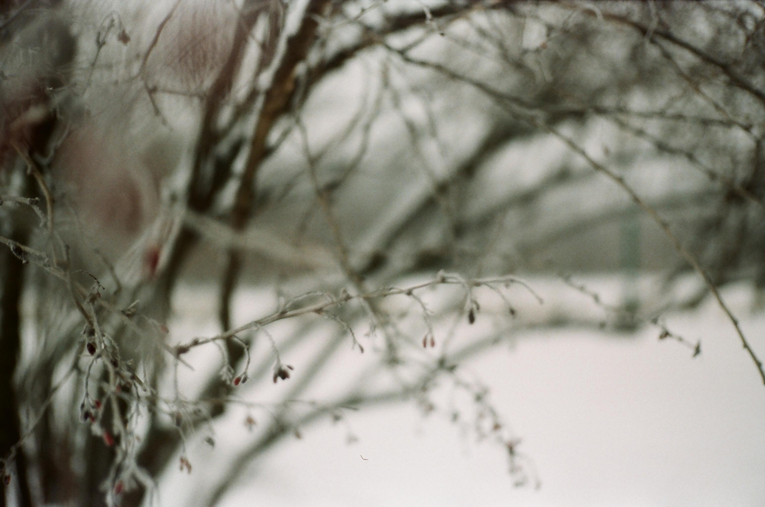 Анна Павлова блогер из Санкт-Петербурга