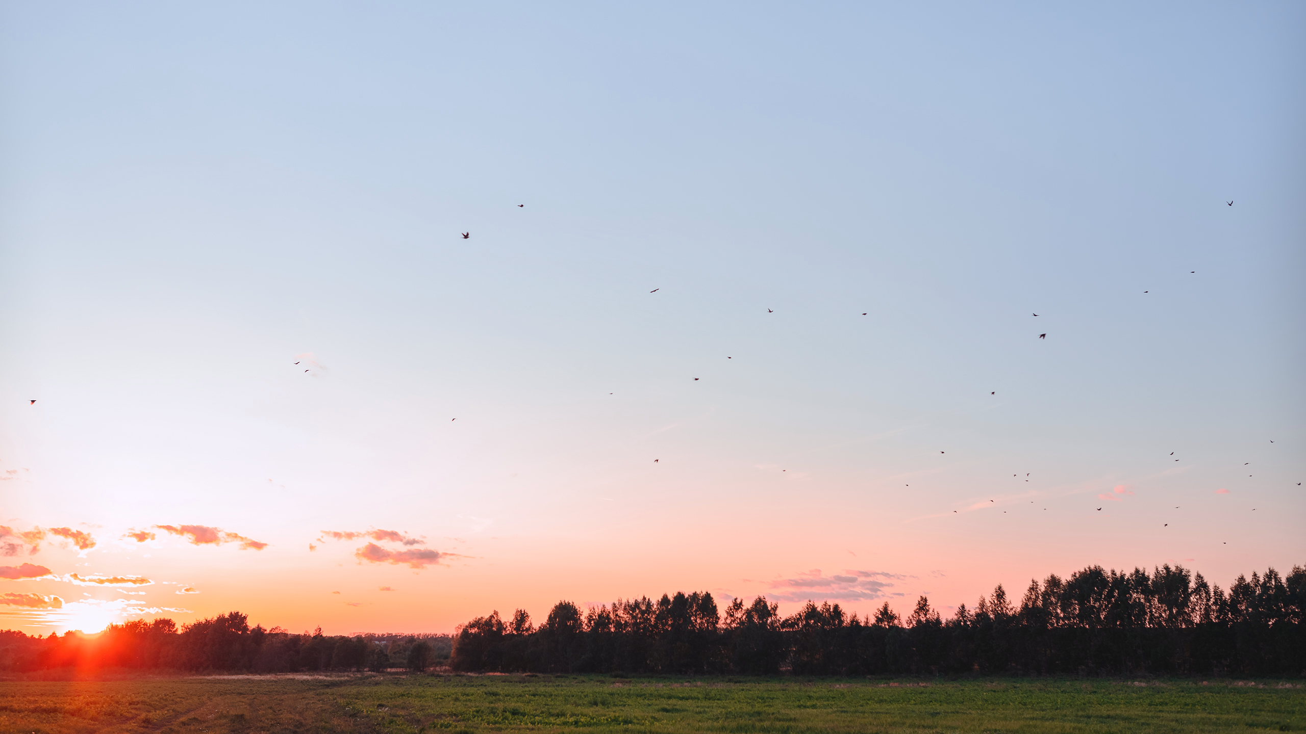 Небо видело всё. Komonev