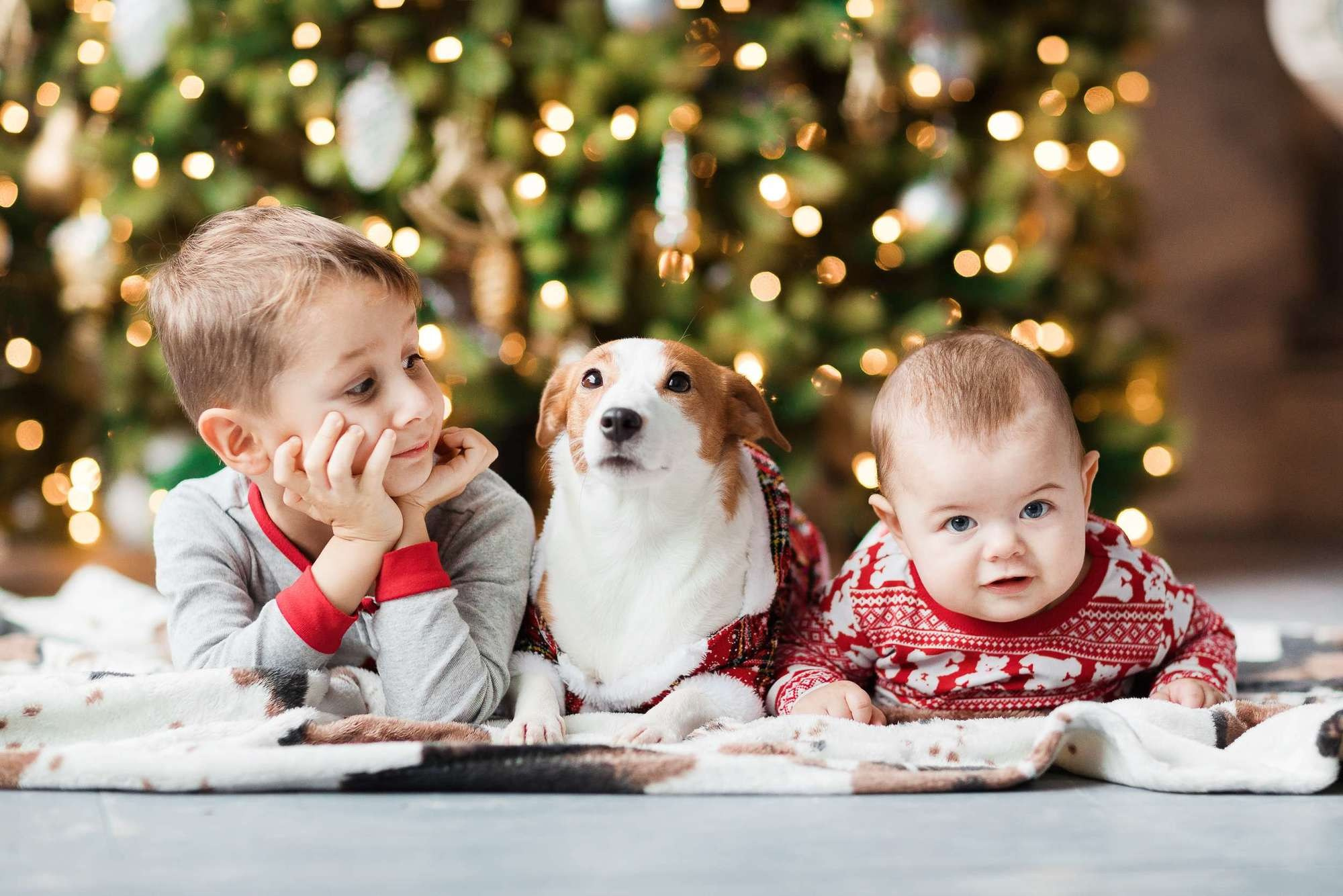 Новогодняя семейняя фотосессия семьи Юлии