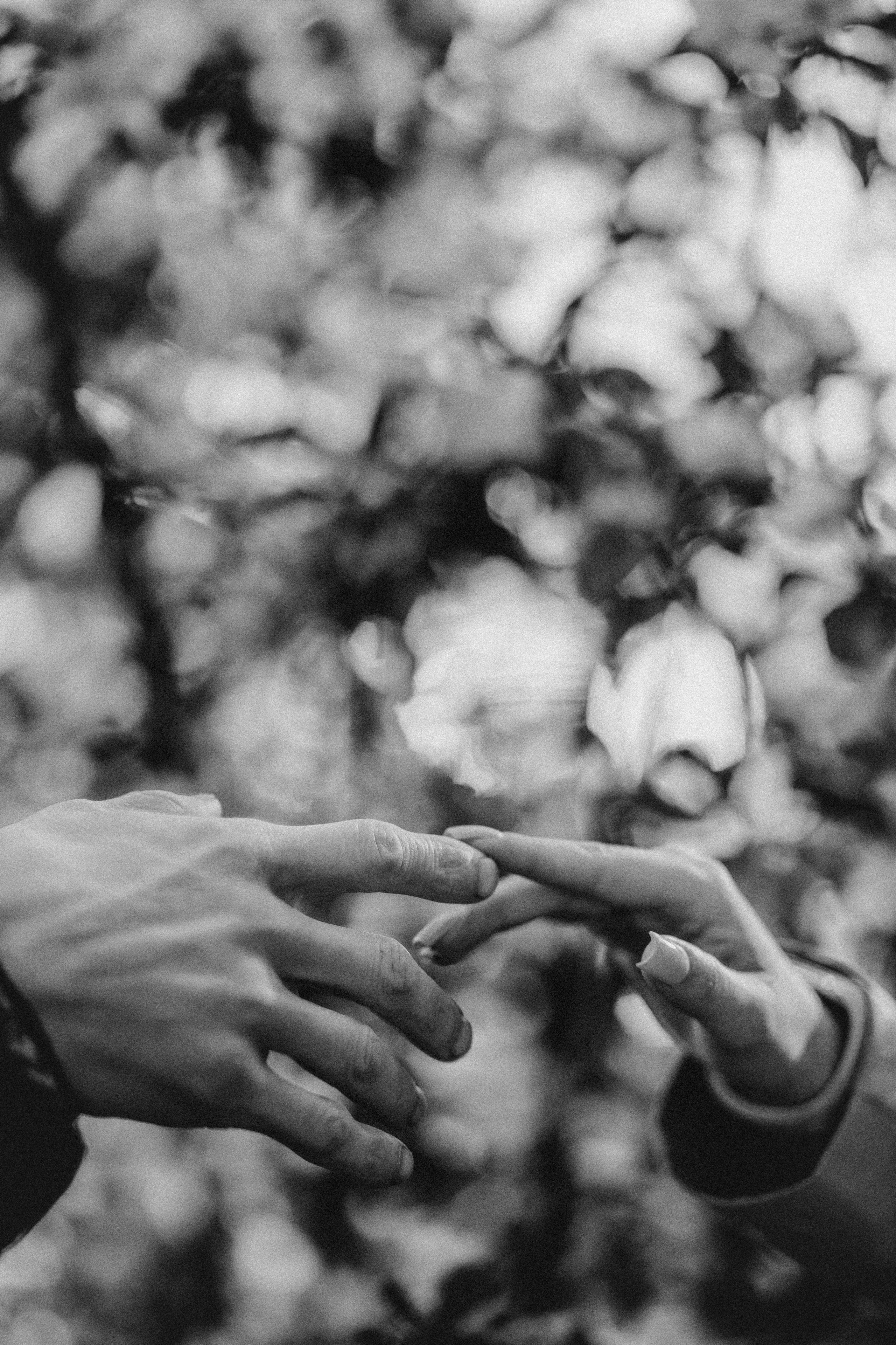 Дмитрий & Юля. Свадебный и семейный фотограф в Ижевске