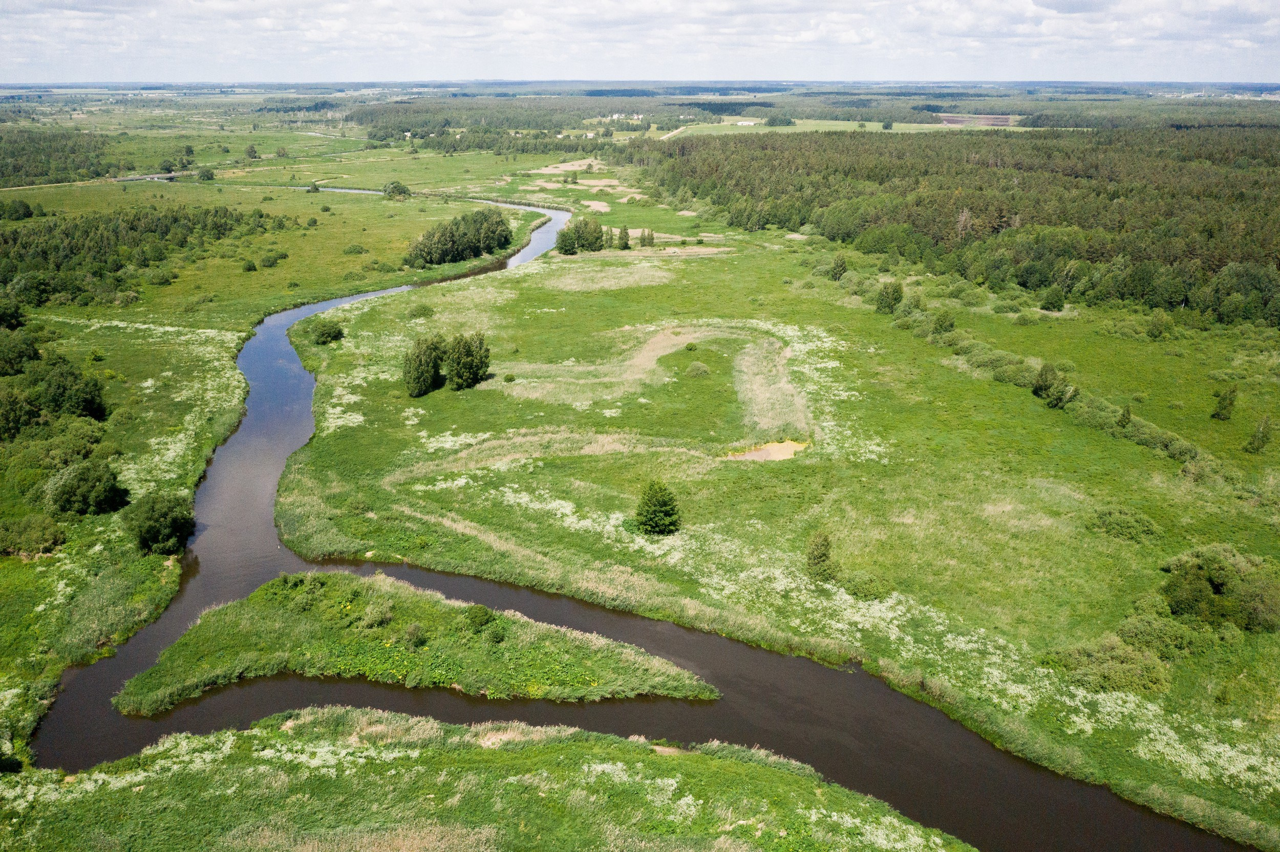 Home.land. Künstler Verstecktoff