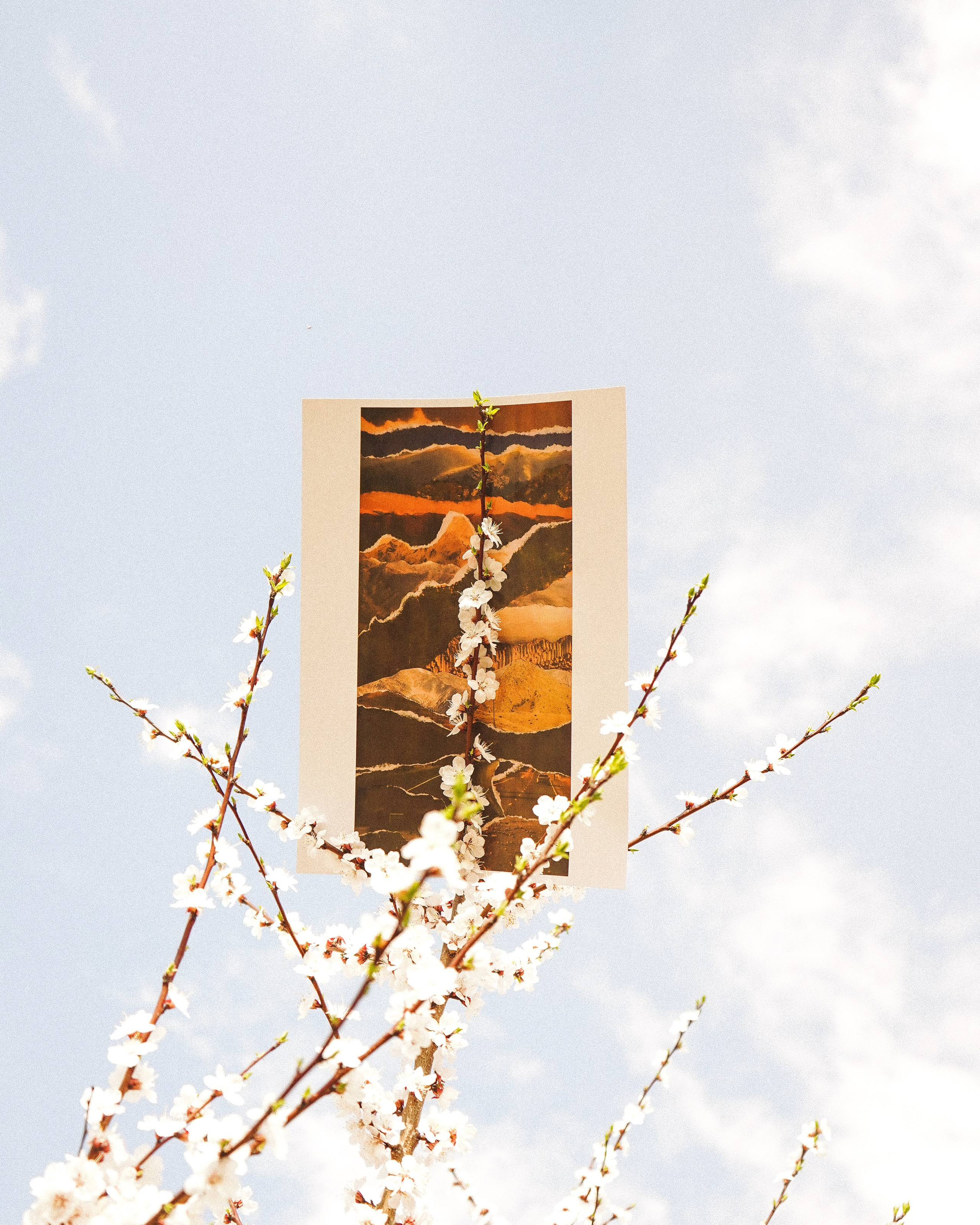 MOUNTAINS. Фотограф Нижний Новгород