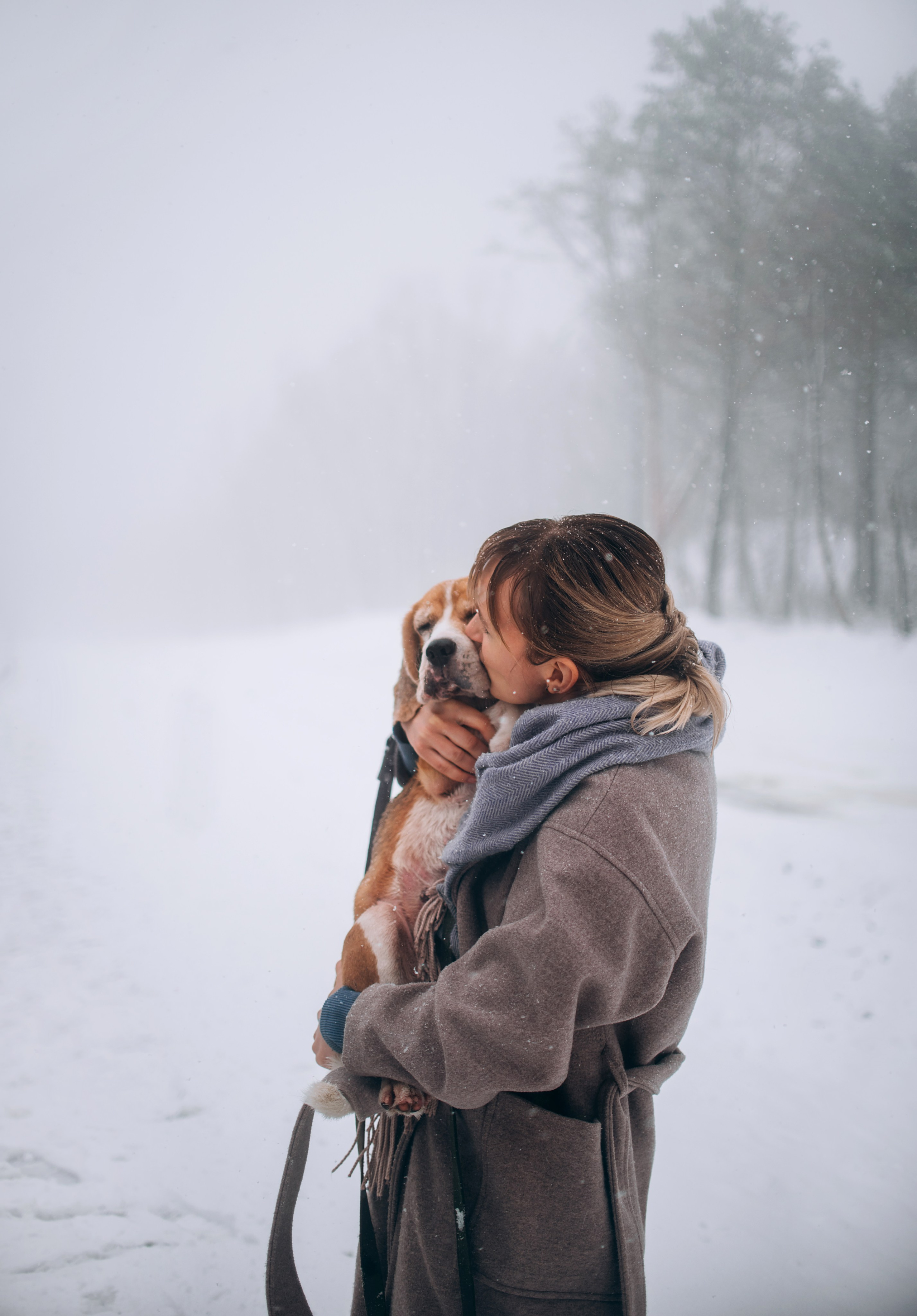 Прогулка с собаками: бигли и Лена. Портфолио