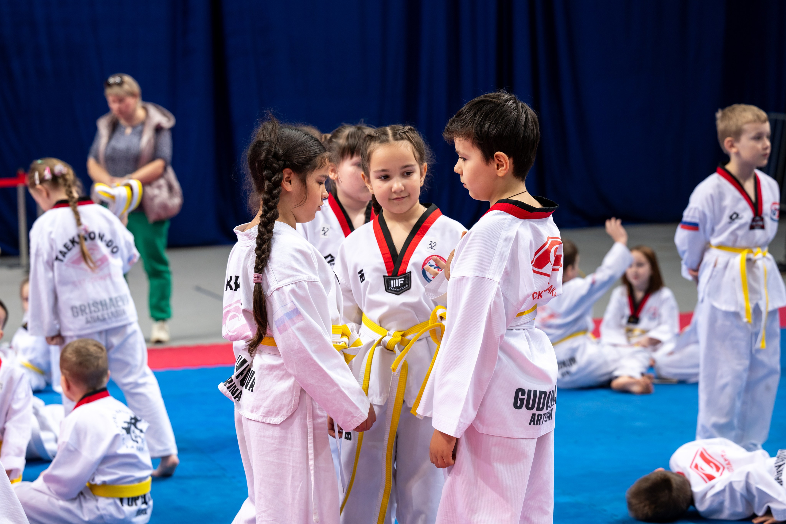 Турнир по Тхэквандо