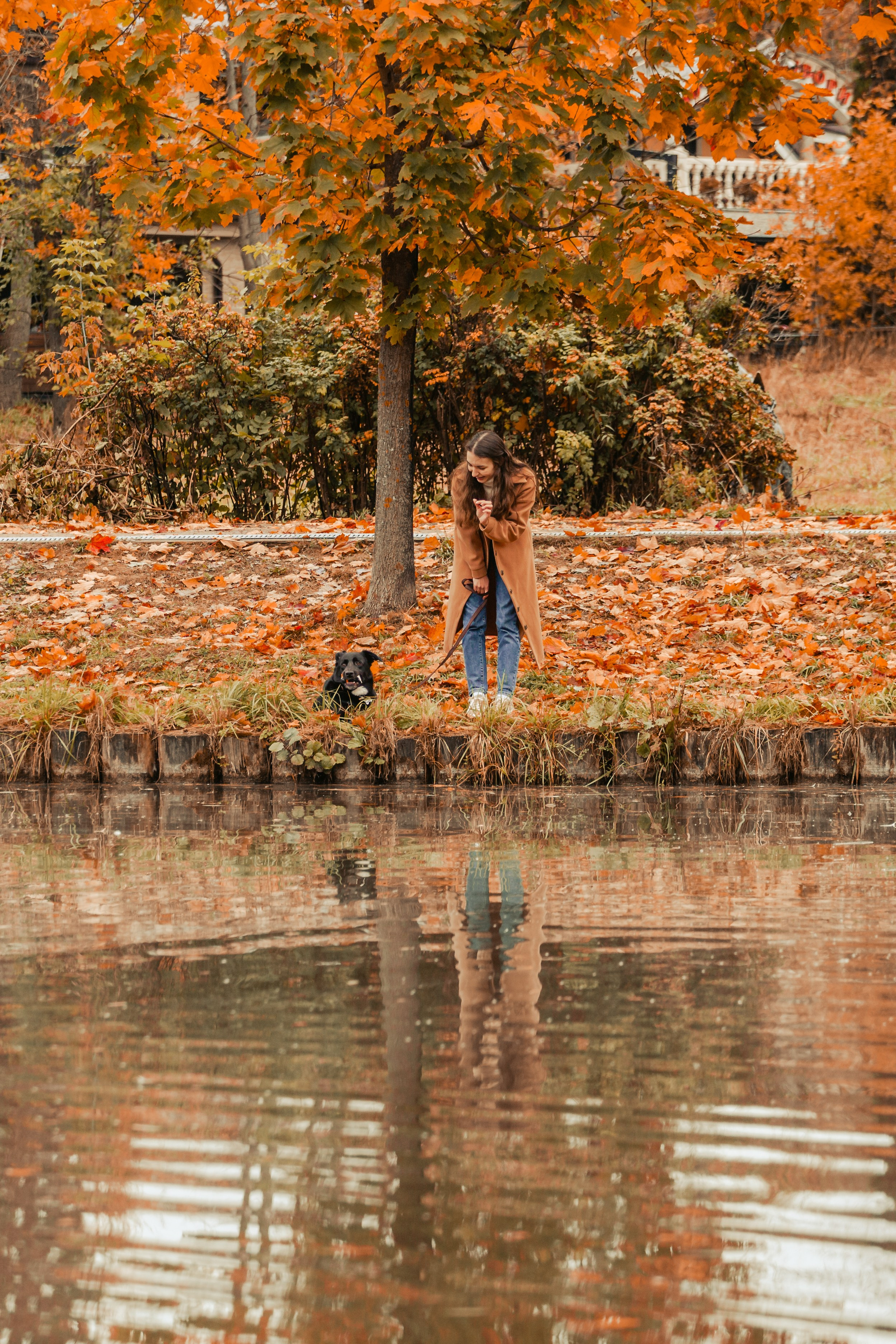 Юля и Фортуна. Фотограф-анималист Татьяна Степанова