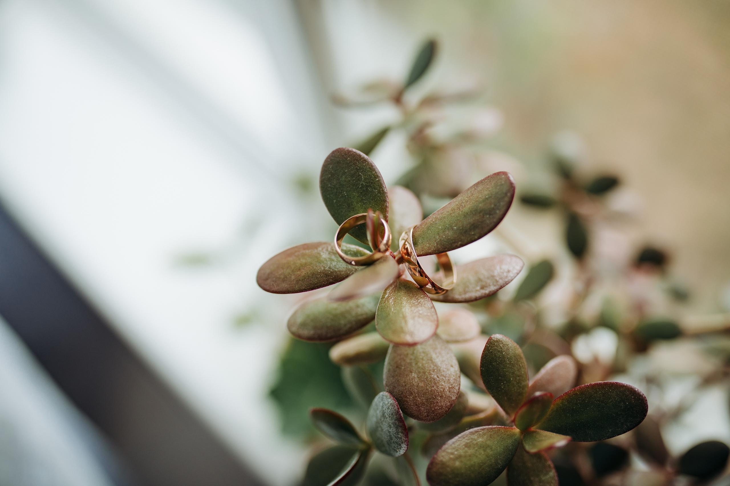 Денис и Яна. Фотограф г. Зубцов Елена Соколова