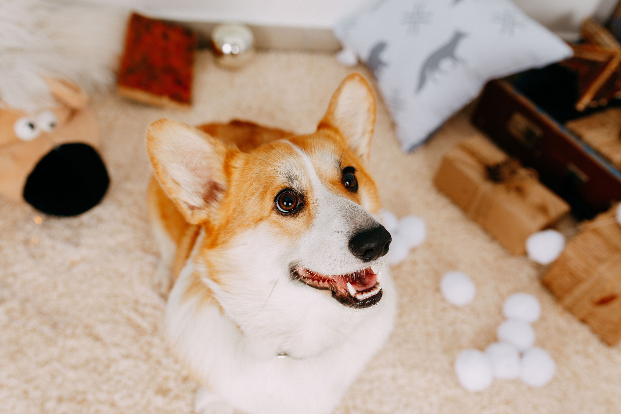 Сметанины. Фотограф г. Зубцов Елена Соколова