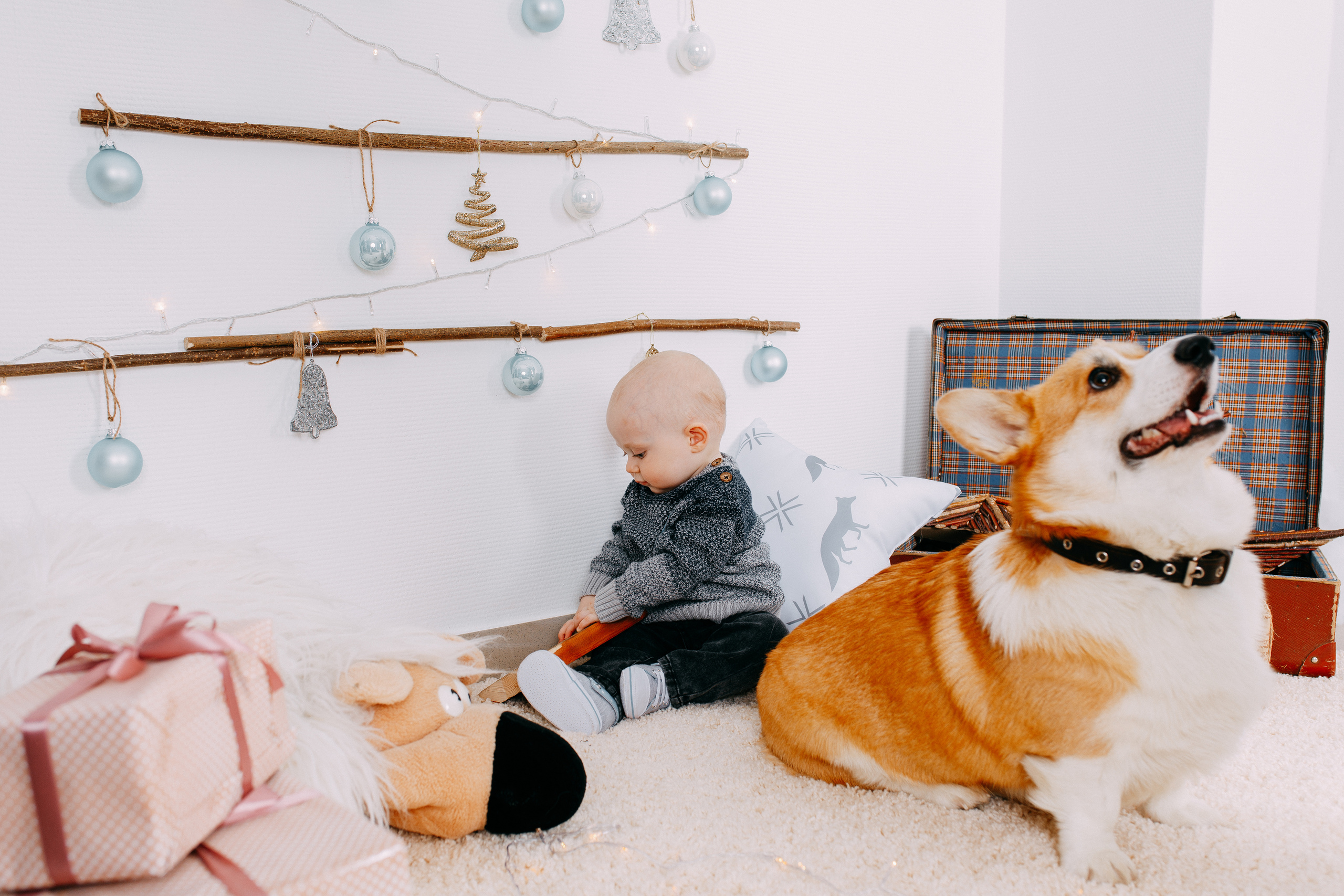 Сметанины. Фотограф г. Зубцов Елена Соколова