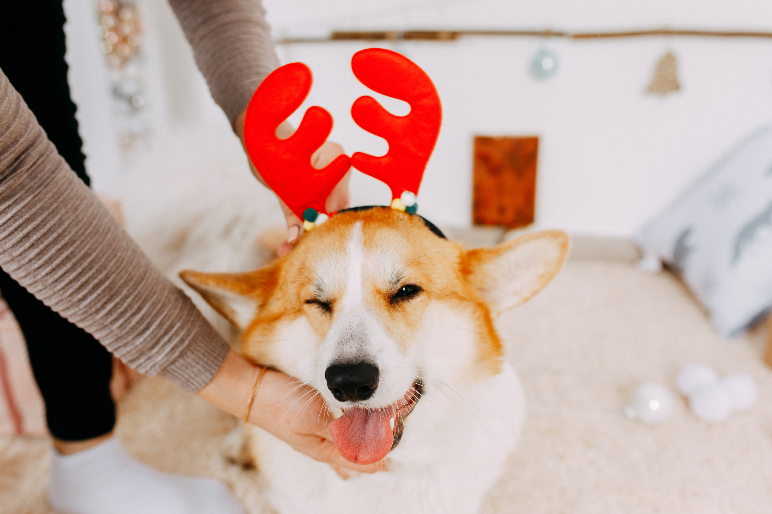 Сметанины. Фотограф г. Зубцов Елена Соколова