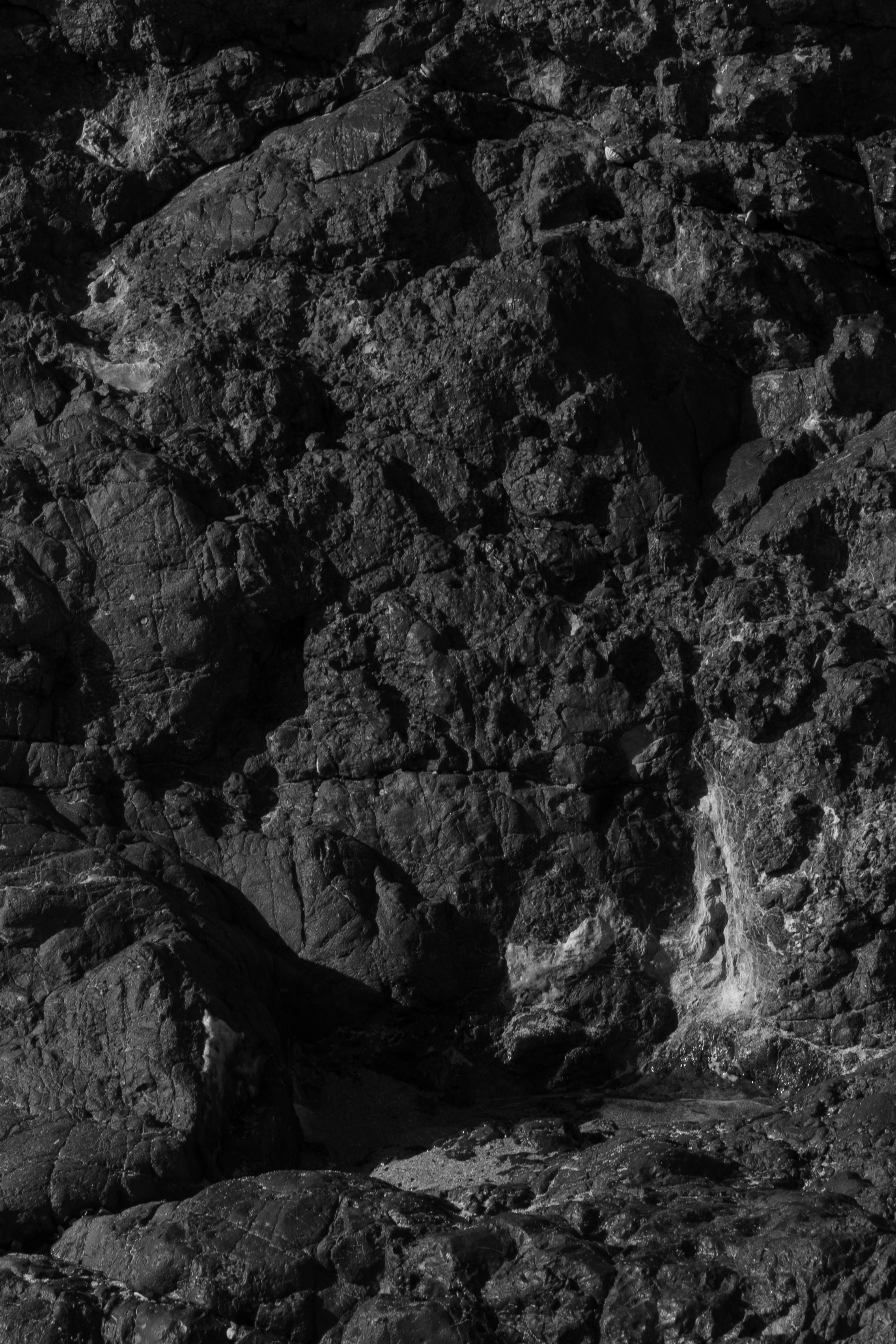 Art prints. Фотограф алина стерхова, алина стерхова фотограф, фотограф москва