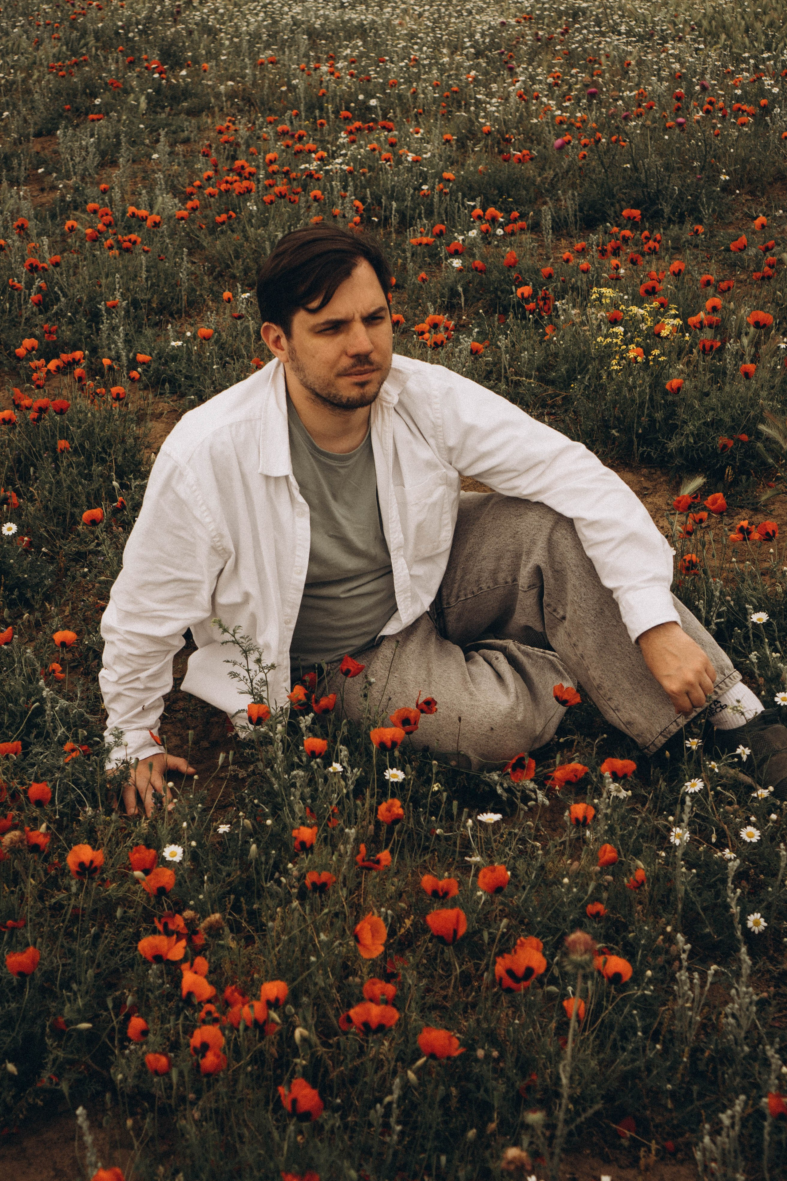 Маки. Профессиональный фотограф, Санкт-Петербург — Виктория Богомолова