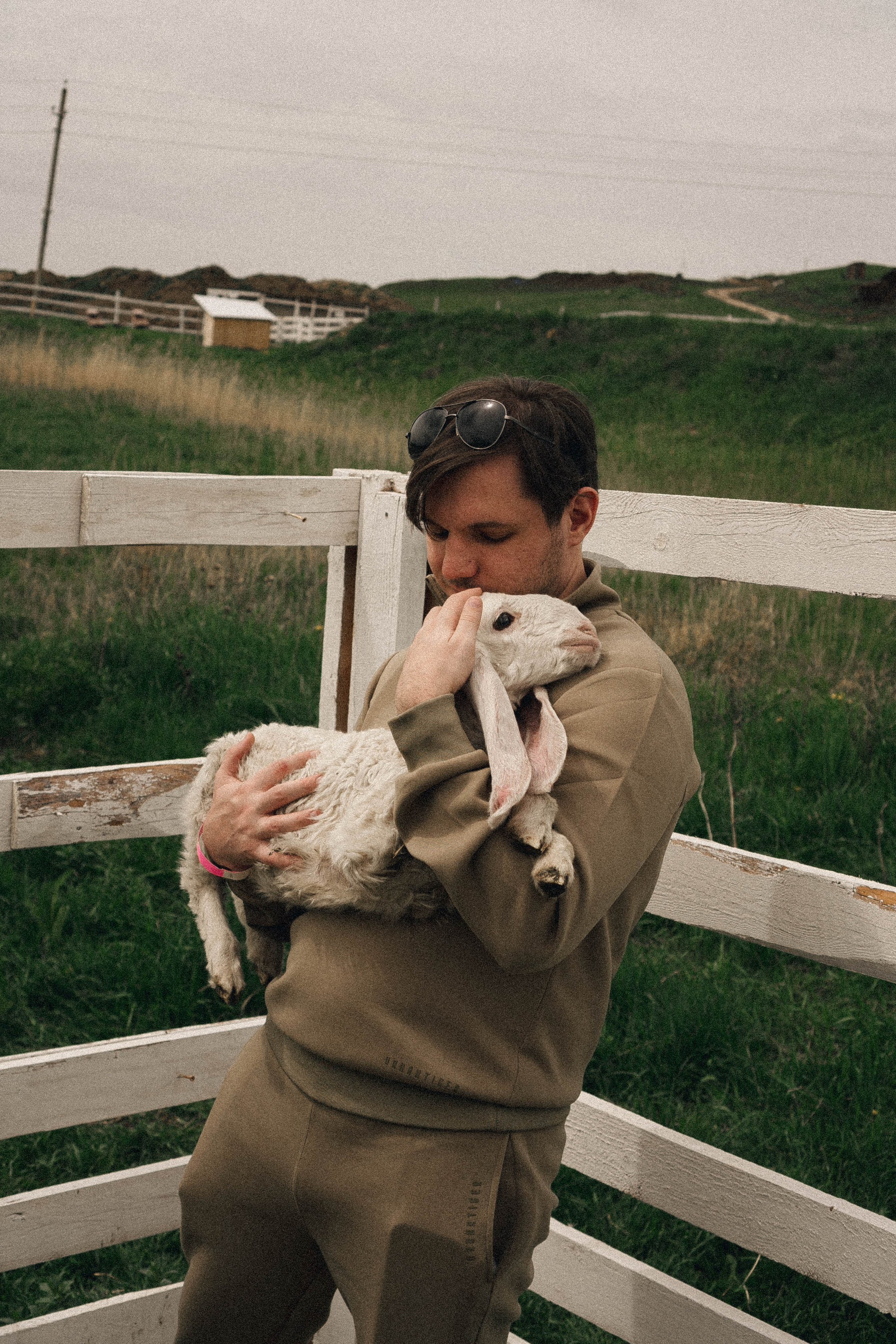 Ферма Альпак. Профессиональный фотограф, Санкт-Петербург — Виктория Богомолова
