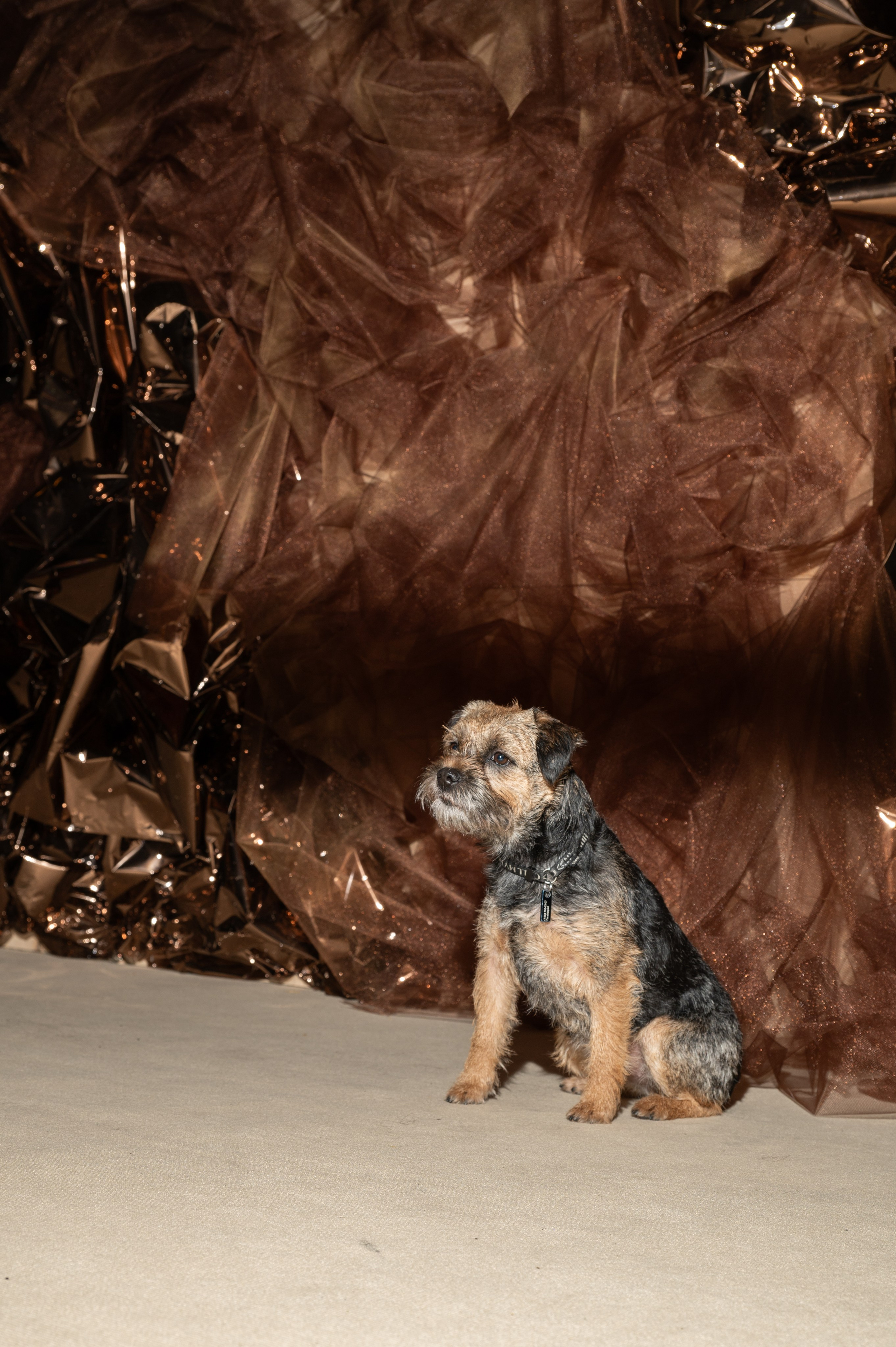 8 марта в студии Артемия Лебедева. Фотограф Лобанов Антон, г. Москва