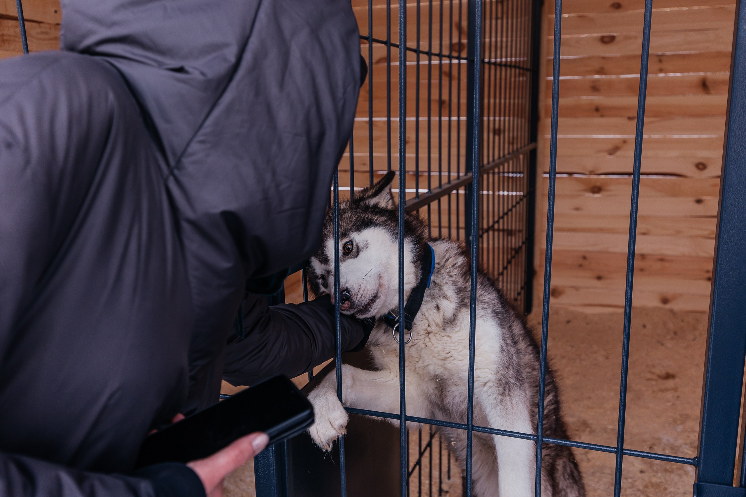 Jaecoo J7 6.0. Фотограф в Самаре / Олеся Широнина