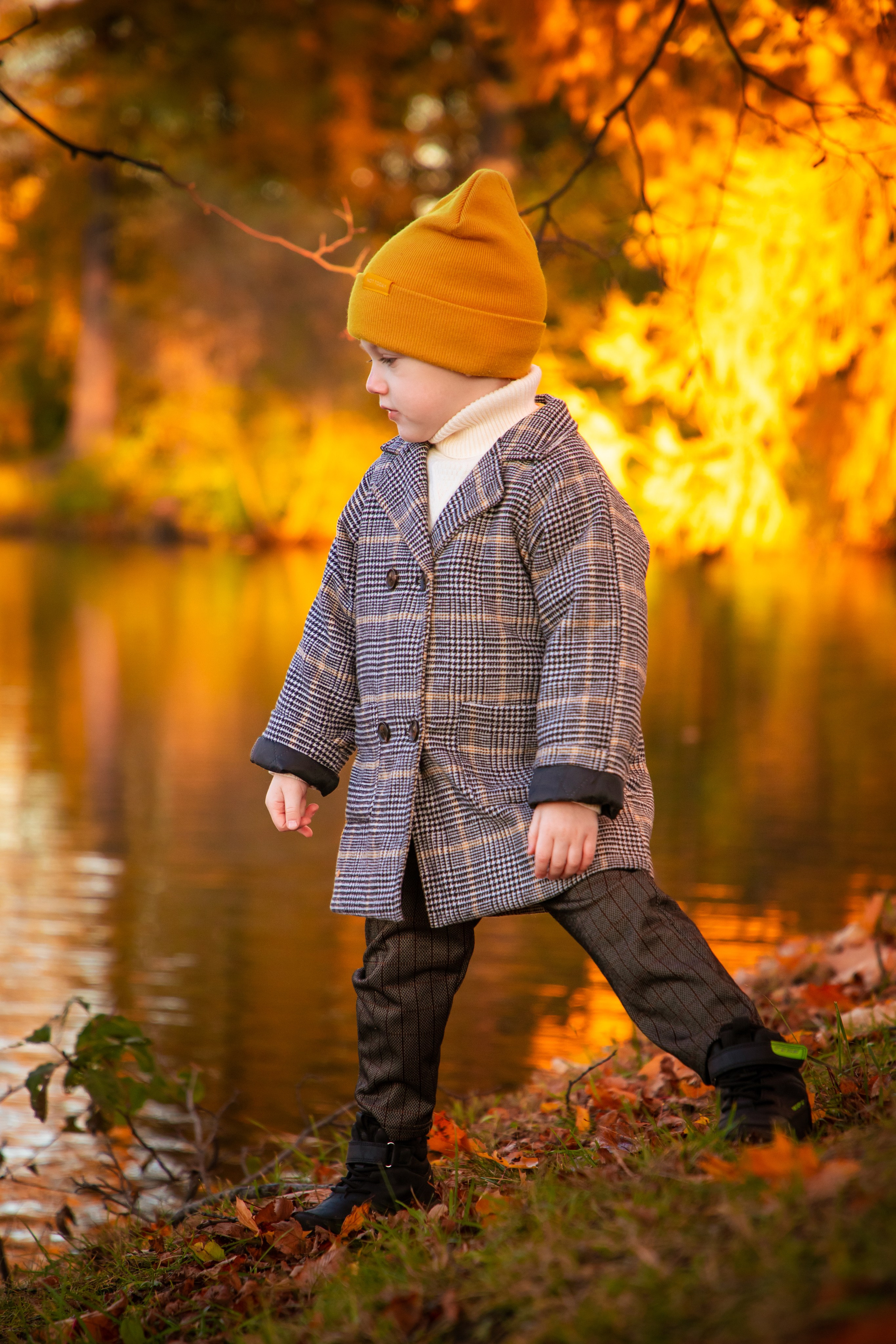 Осень. Фотограф Алексей Шуля — портфолио