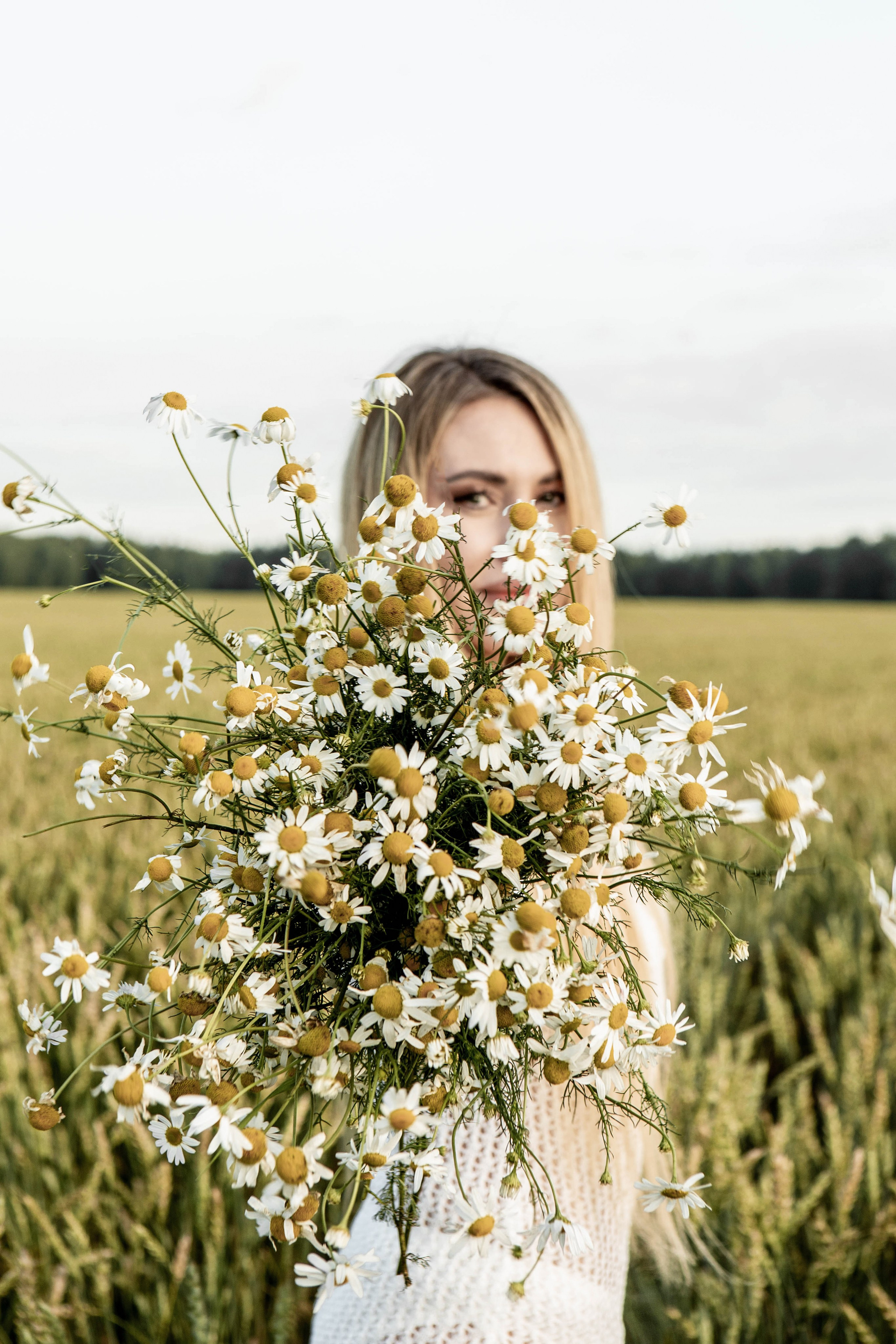 Ромашки. Фотограф Екатерина Голицына
