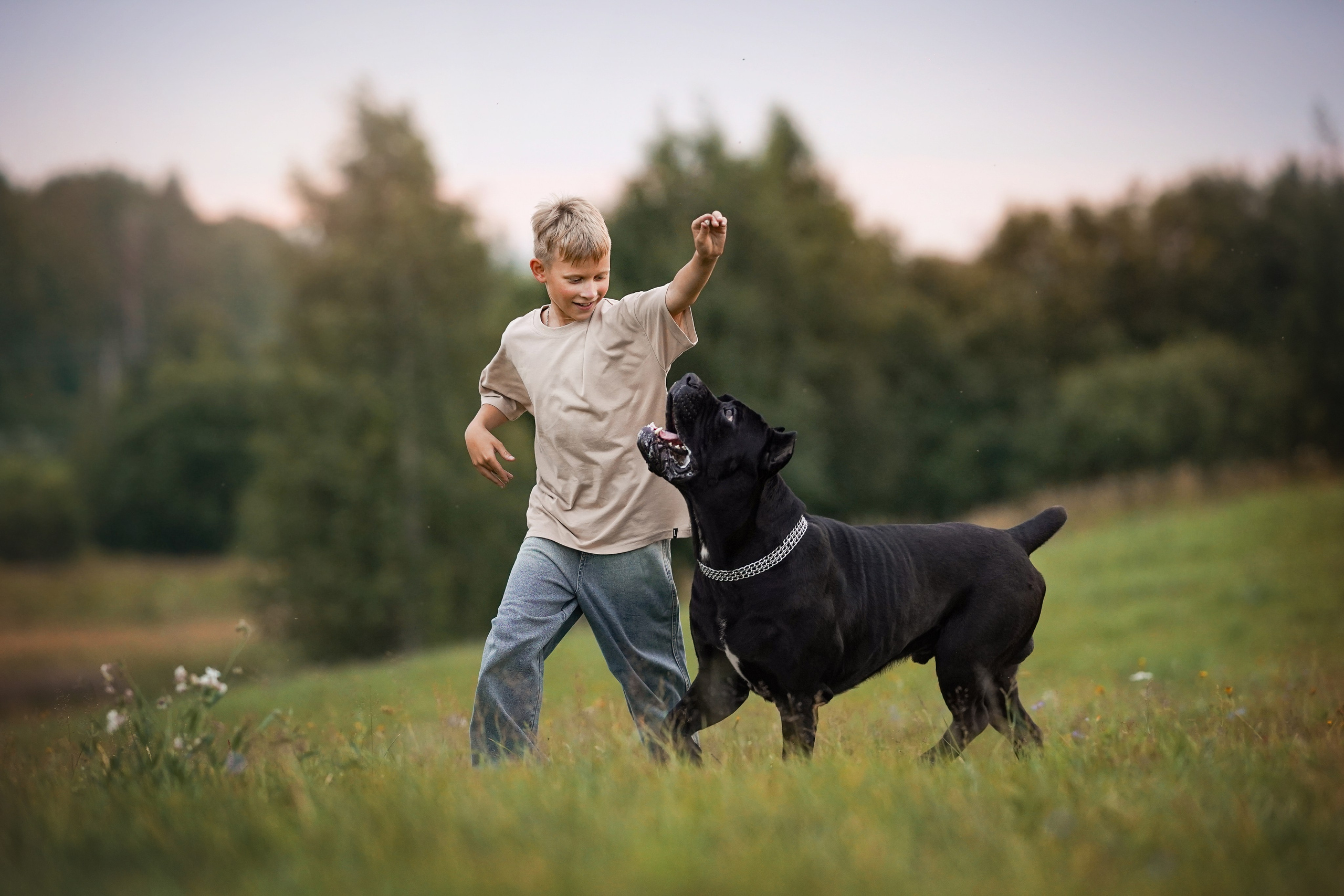 Юлия Костя и Виннер. Фотограф-анималист в Санкт-Петербурге Яна Мартынова