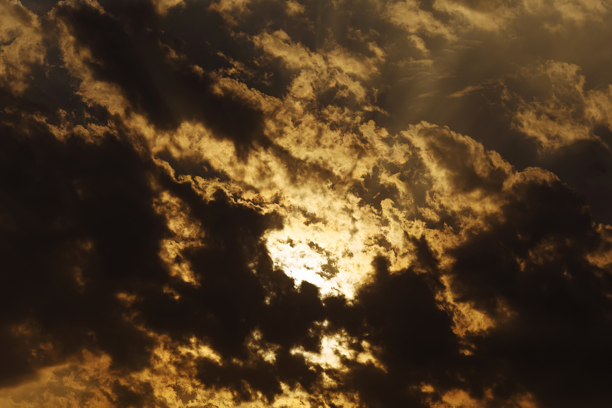 Разное. Портретный фотограф, Славянка