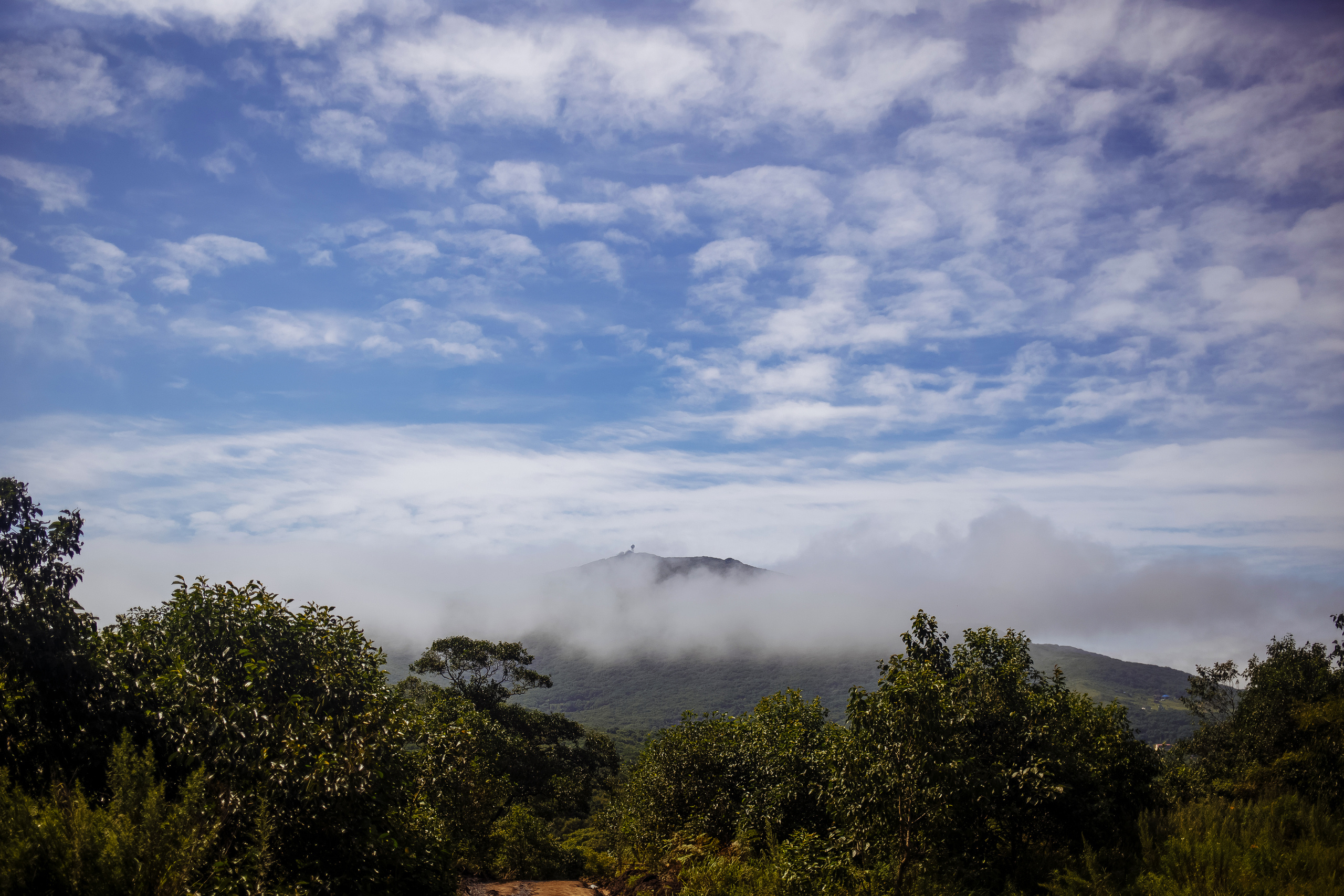 Разное. Портретный фотограф, Славянка