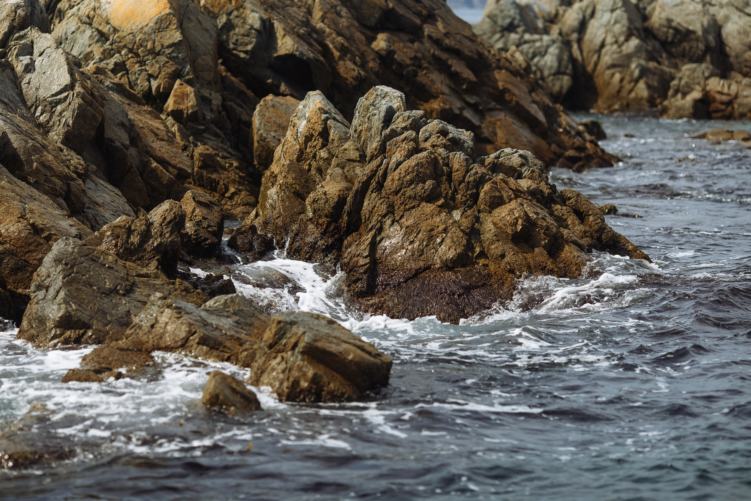 Разное. Портретный фотограф, Славянка