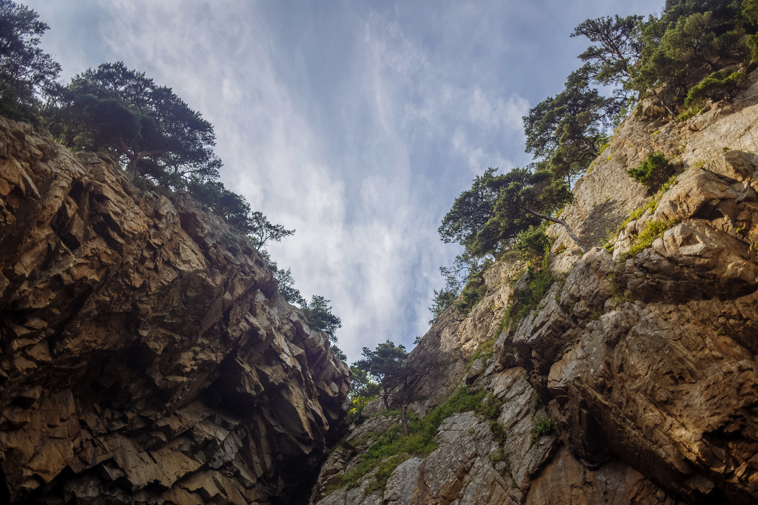 Разное. Портретный фотограф, Славянка