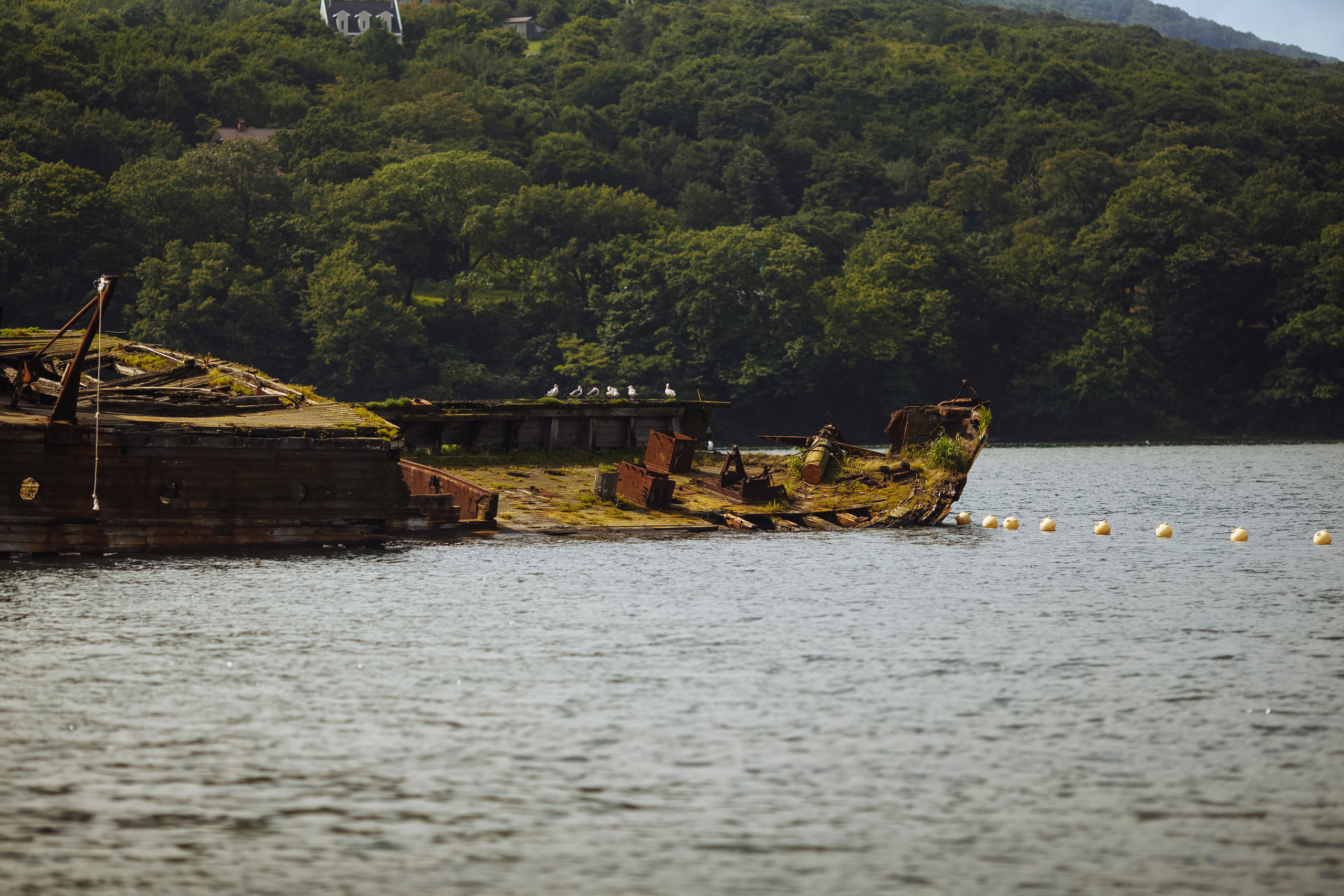 Разное. Портретный фотограф, Славянка
