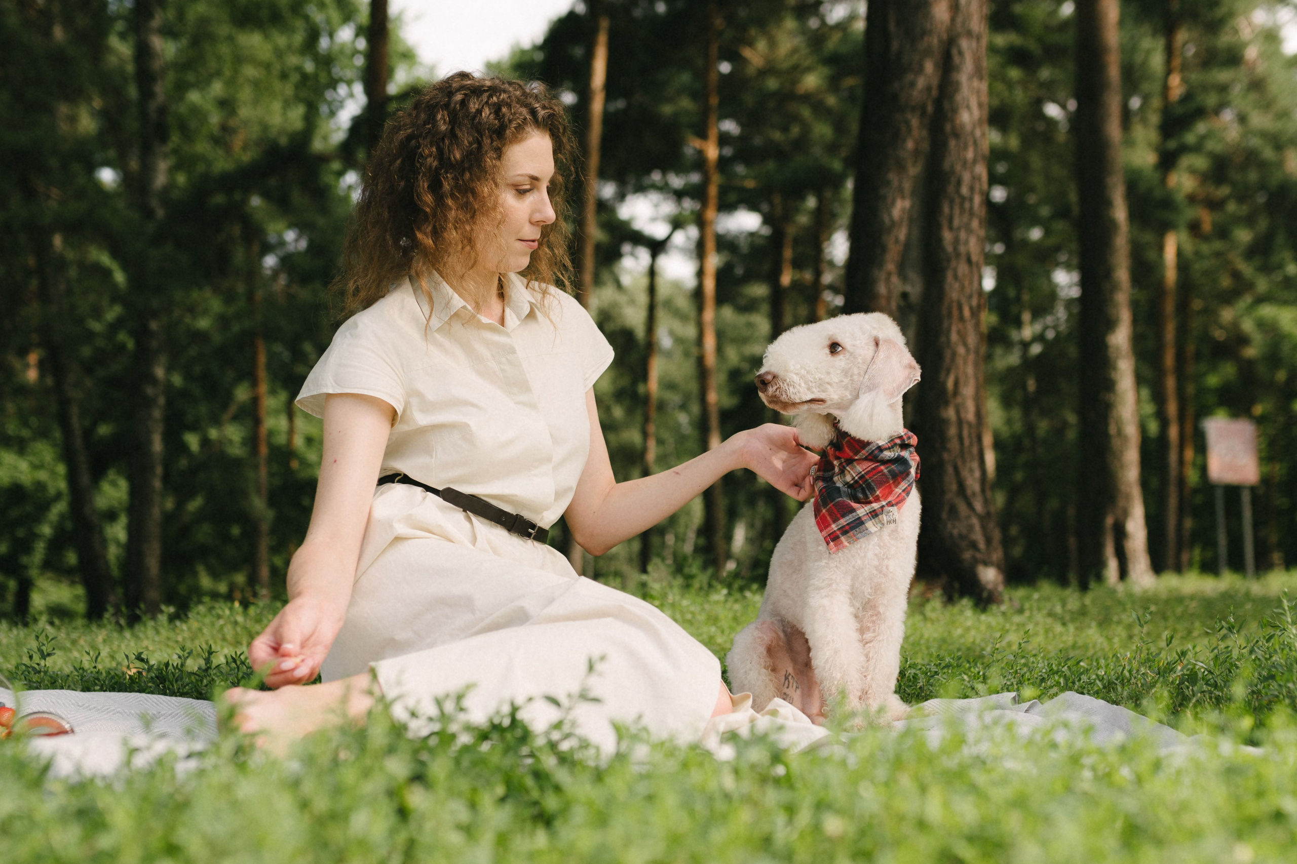 Лиза и Каспер. Фотограф анималист в Москве Ольга Агушева