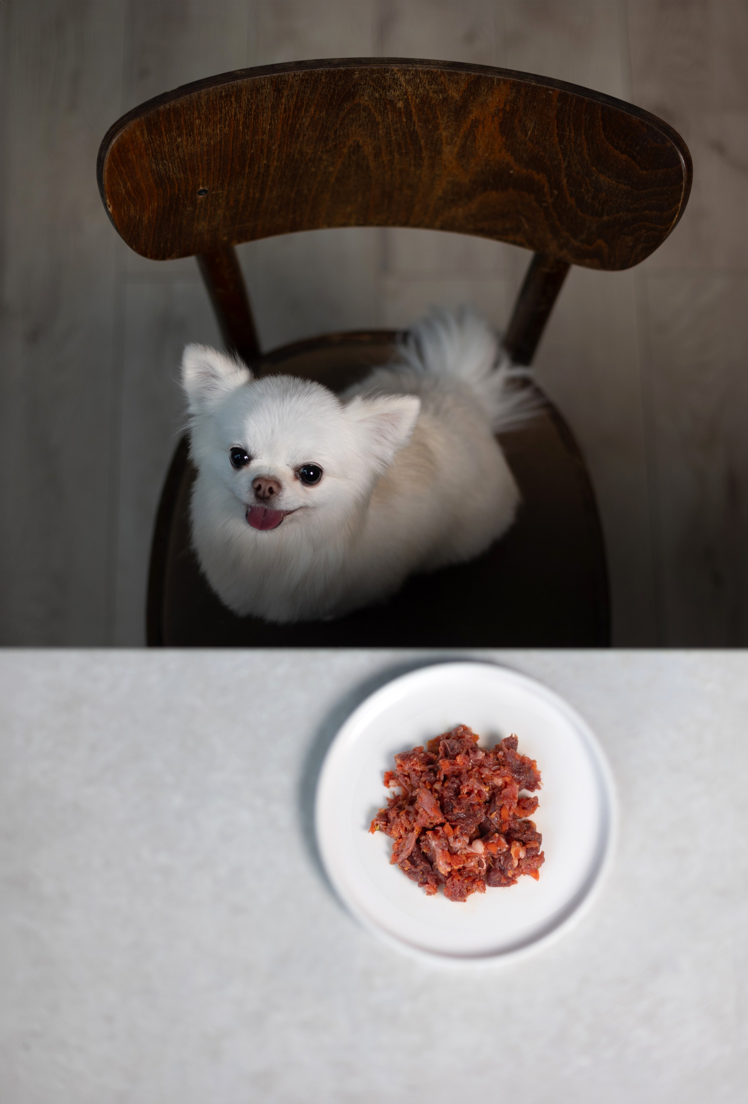 Best for friend (BFF). Фотограф анималист Кристина Карпова, Москва