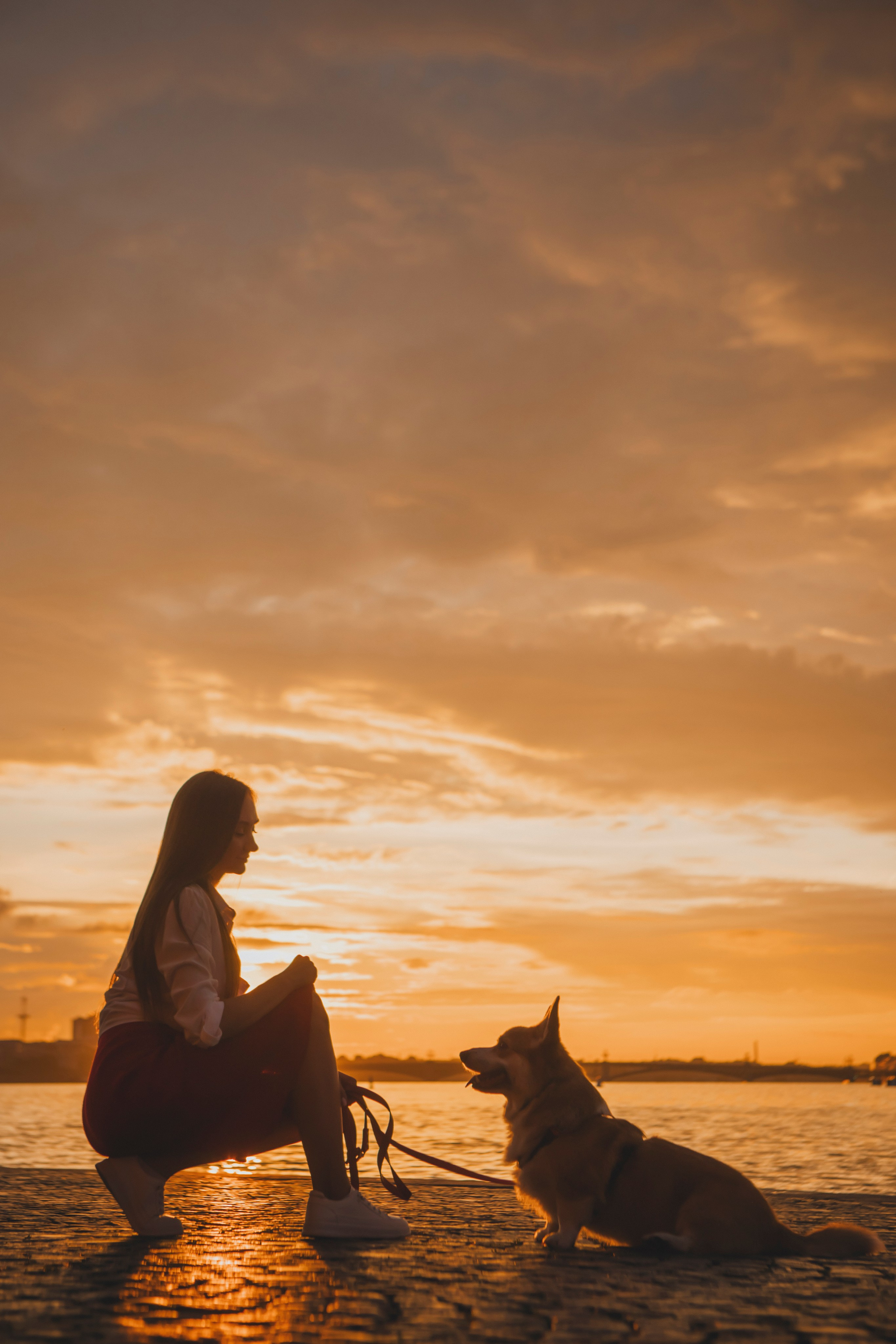 Настя и Стёпа. Фотограф-анималист в Санкт-Петербурге Алина Яхонт