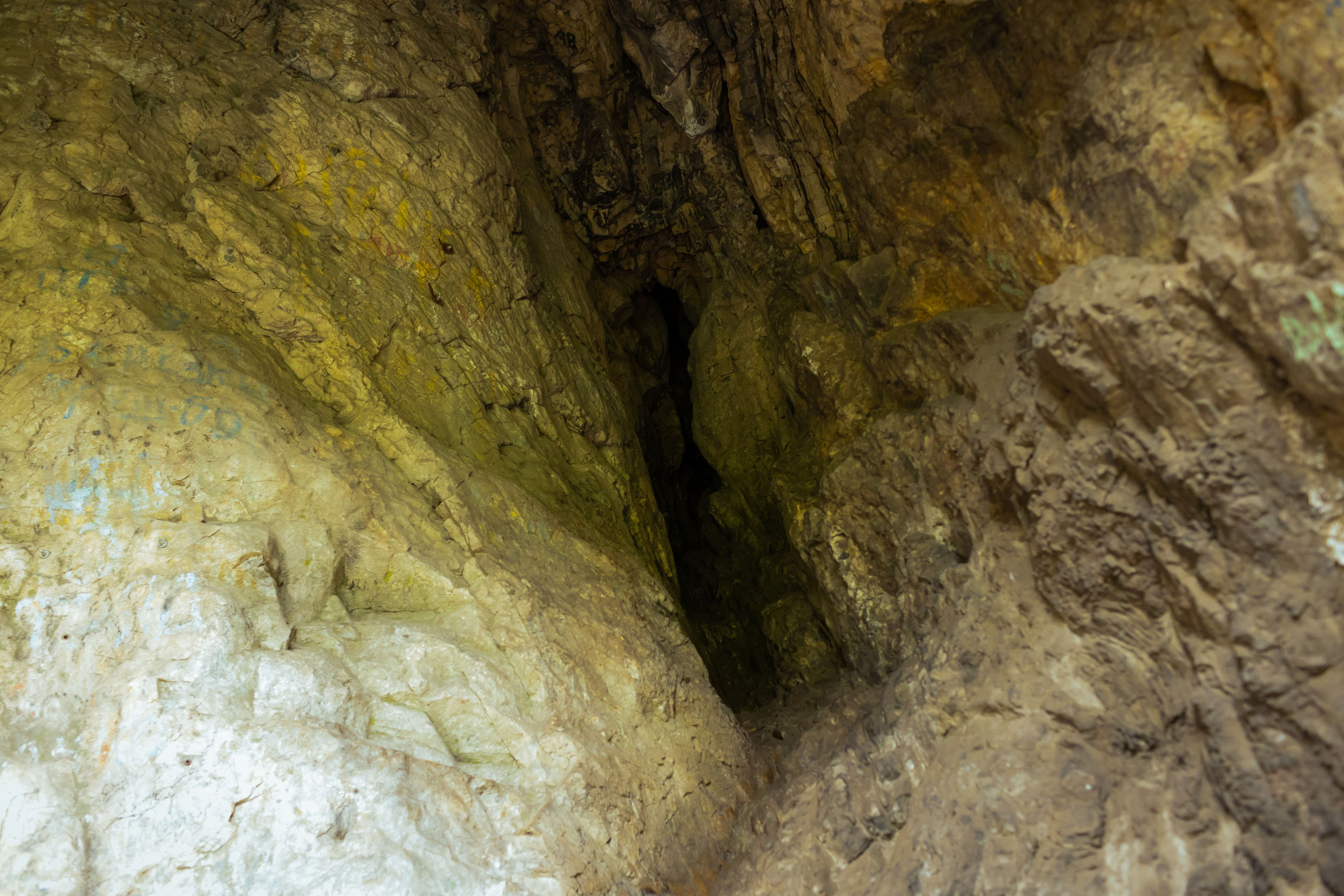 Красноярск (осень 2023). Фотограф Виноградов Константин