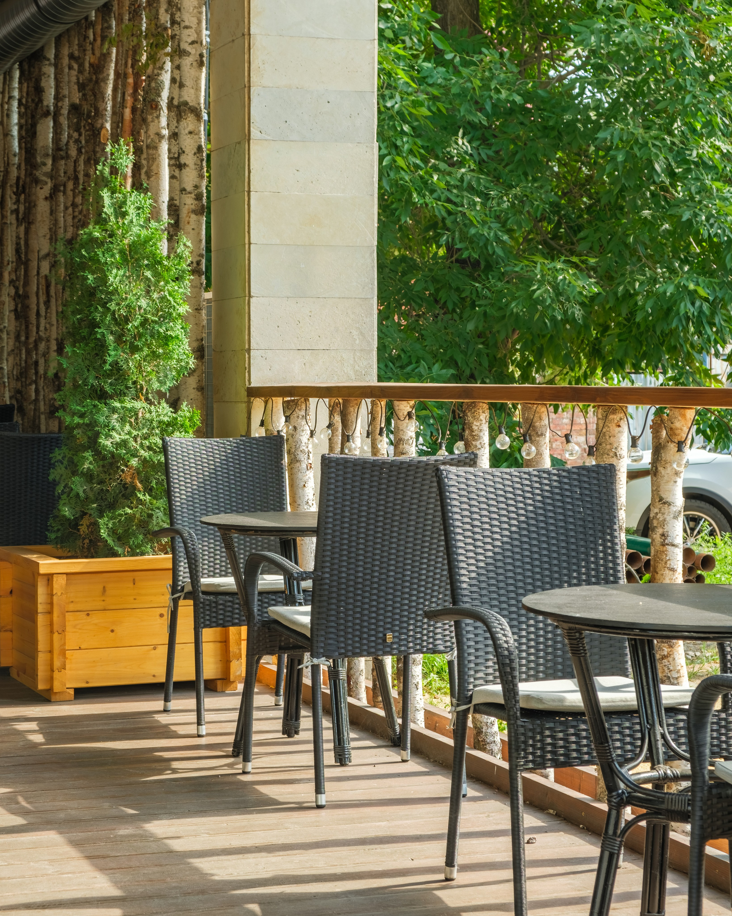 Интерьерная фотосессия кафе «Берёзка»