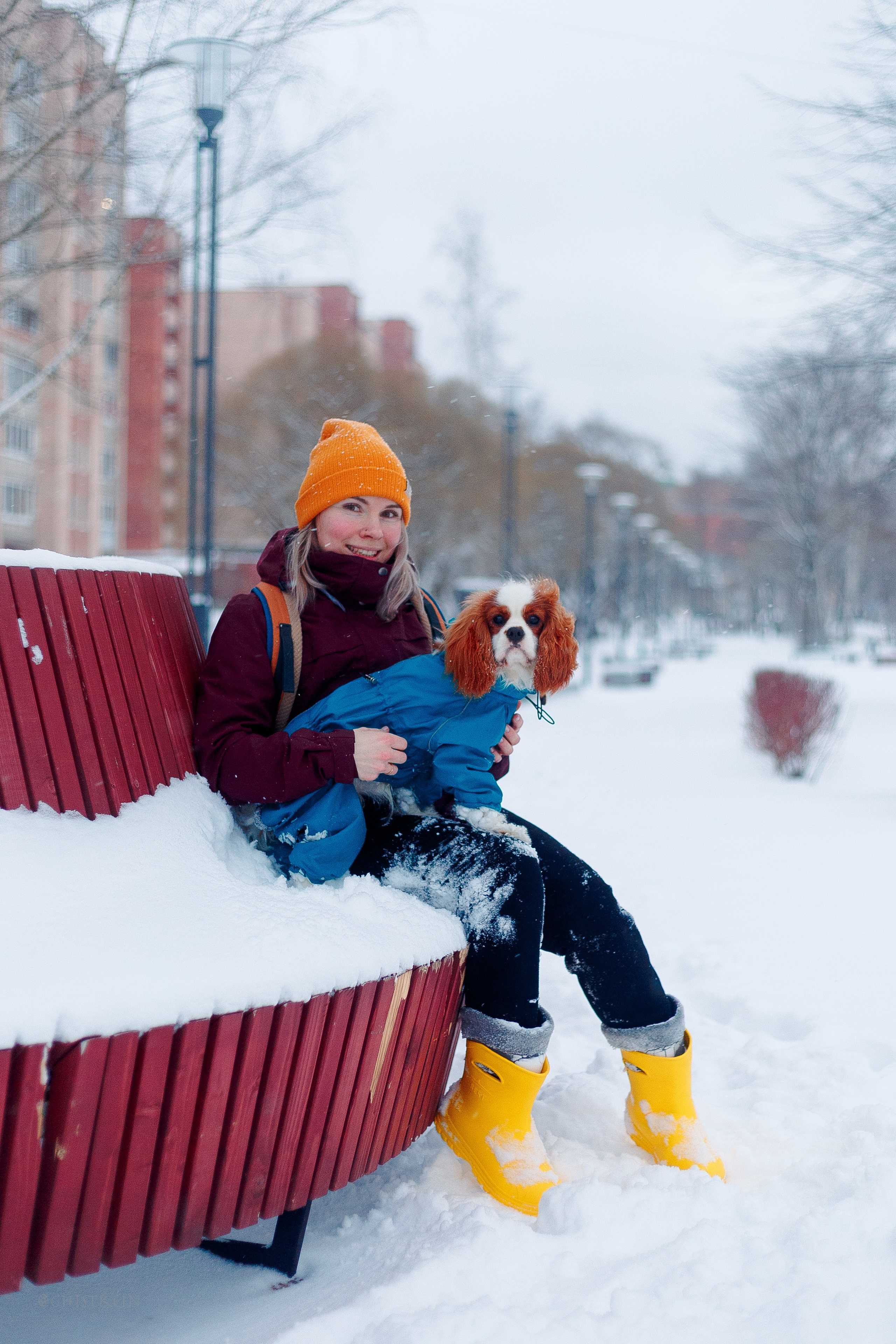 Внезапно апрельская зима. Фотограф-анималист Наталия Чистюхина в г. Сосновый Бор и ЛО