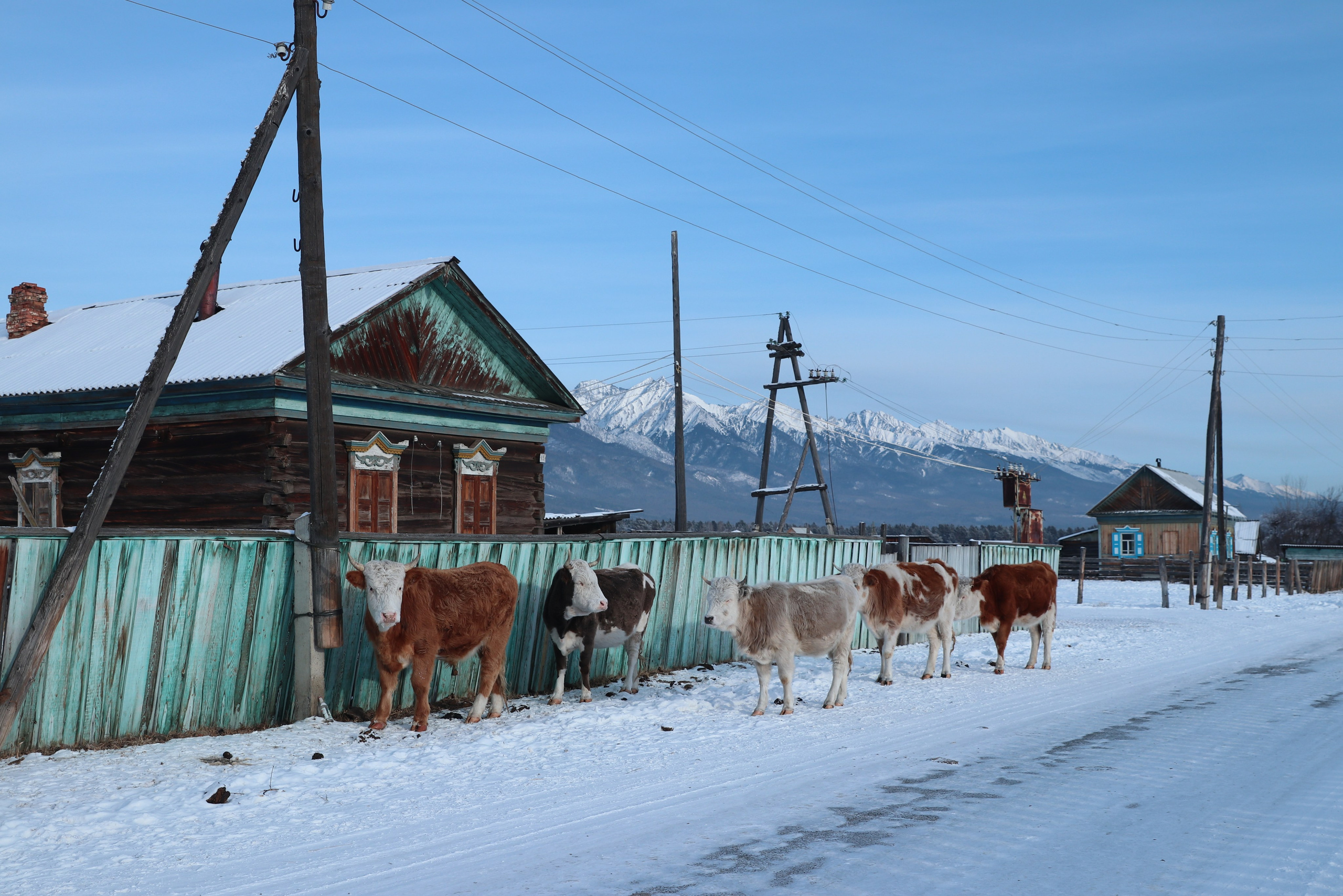 Аршан. Январь 2024. Путешественник-фотограф из Санкт-Петербурга Татьяна Свистулина