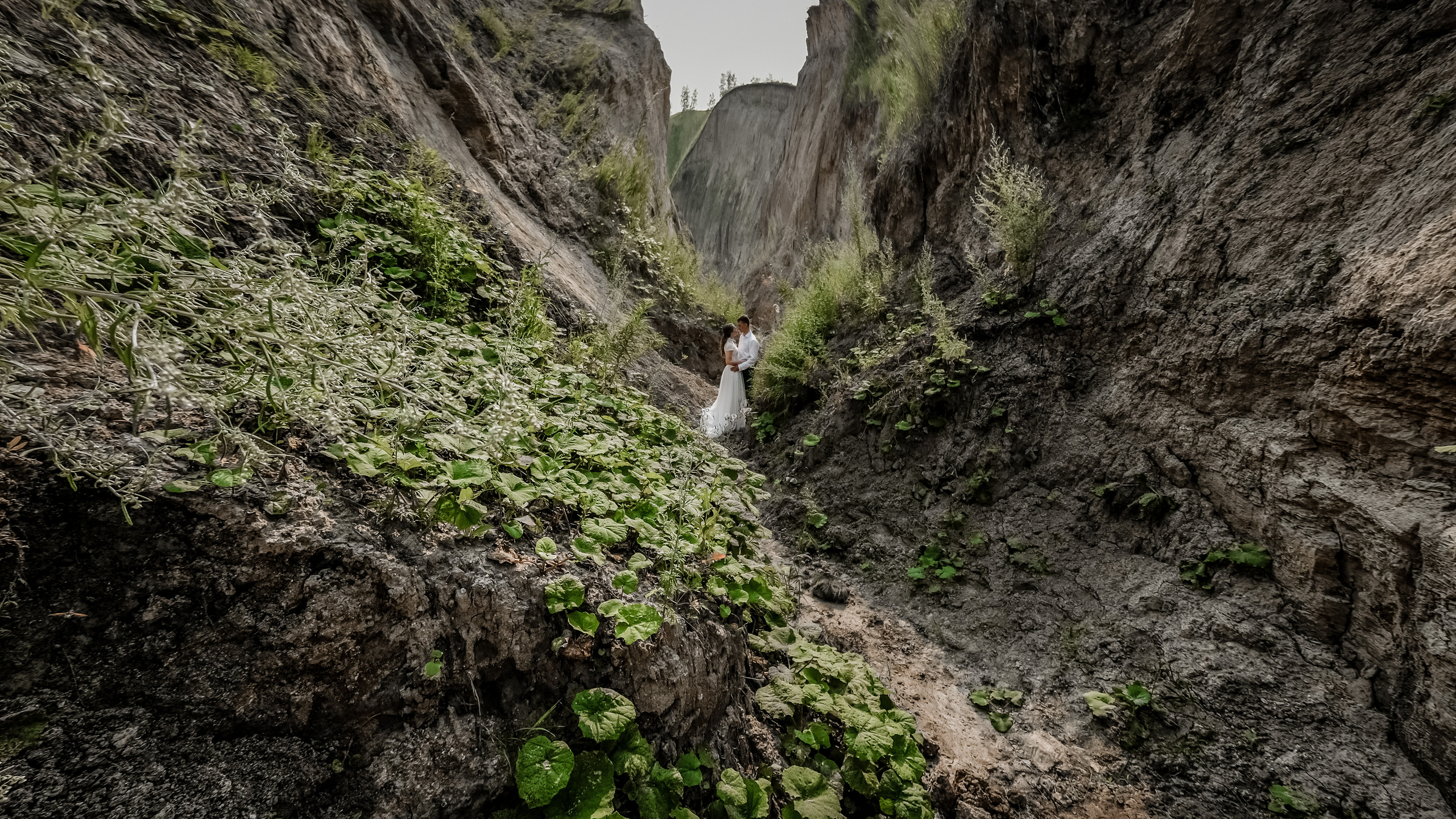 Анастасия и Максим. Профессиональный фотограф Николай Рождественский. Москва, Омск, Тюмень