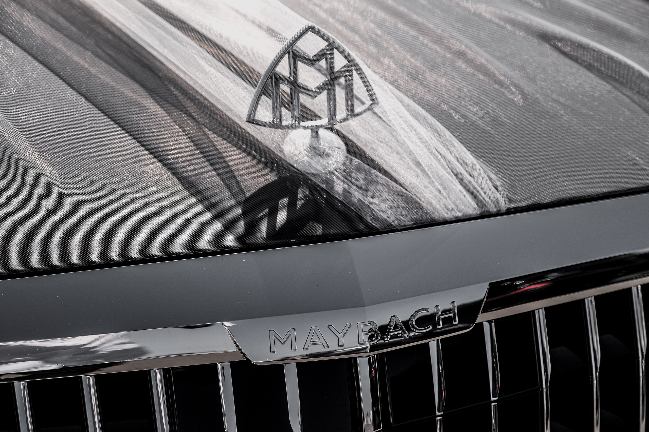 Станислав и Ирина. Профессиональный фотограф Николай Рождественский. Москва, Омск, Тюмень