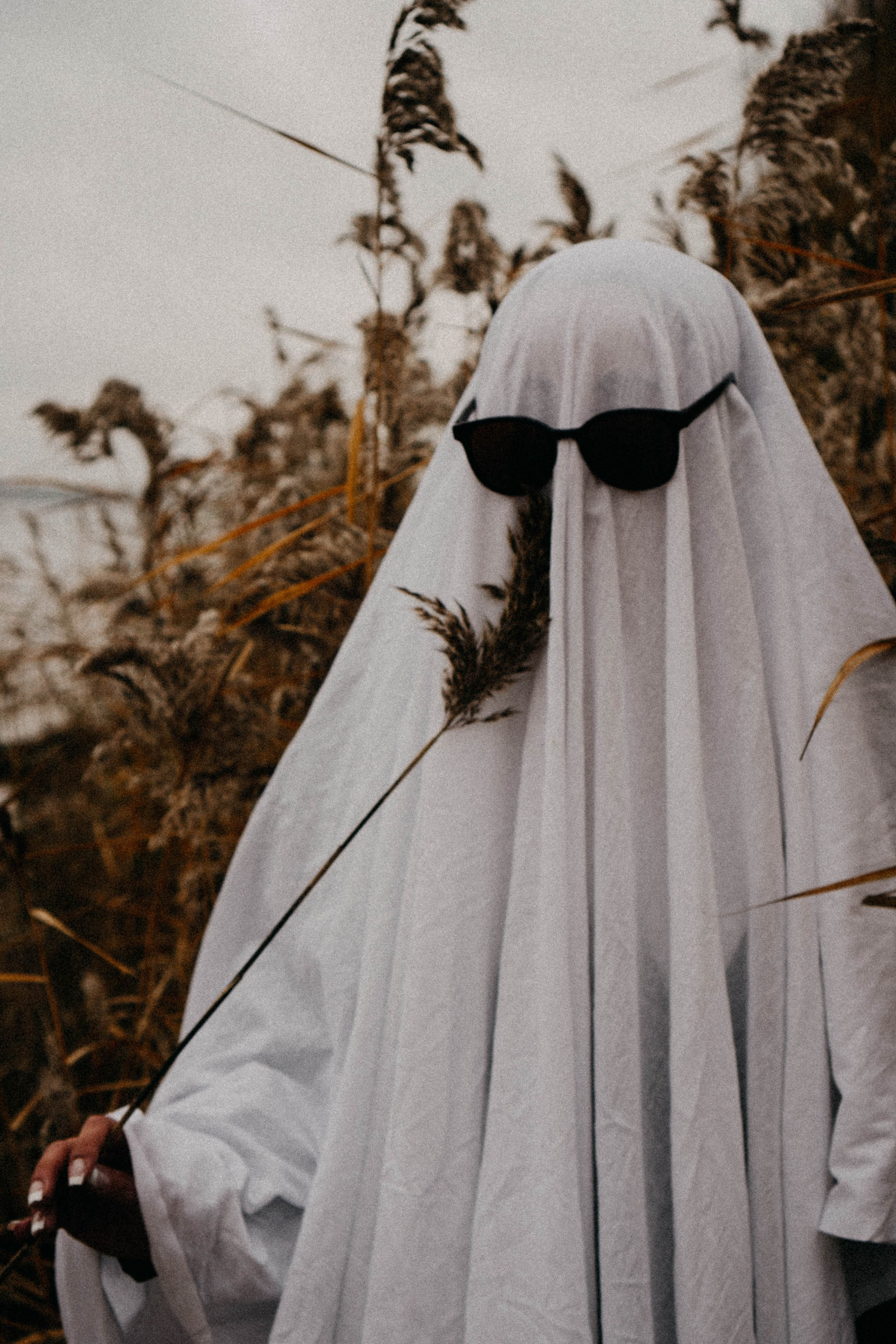 Осеняя. Профессиональный фотограф, Санкт-Петербург — Виктория Богомолова