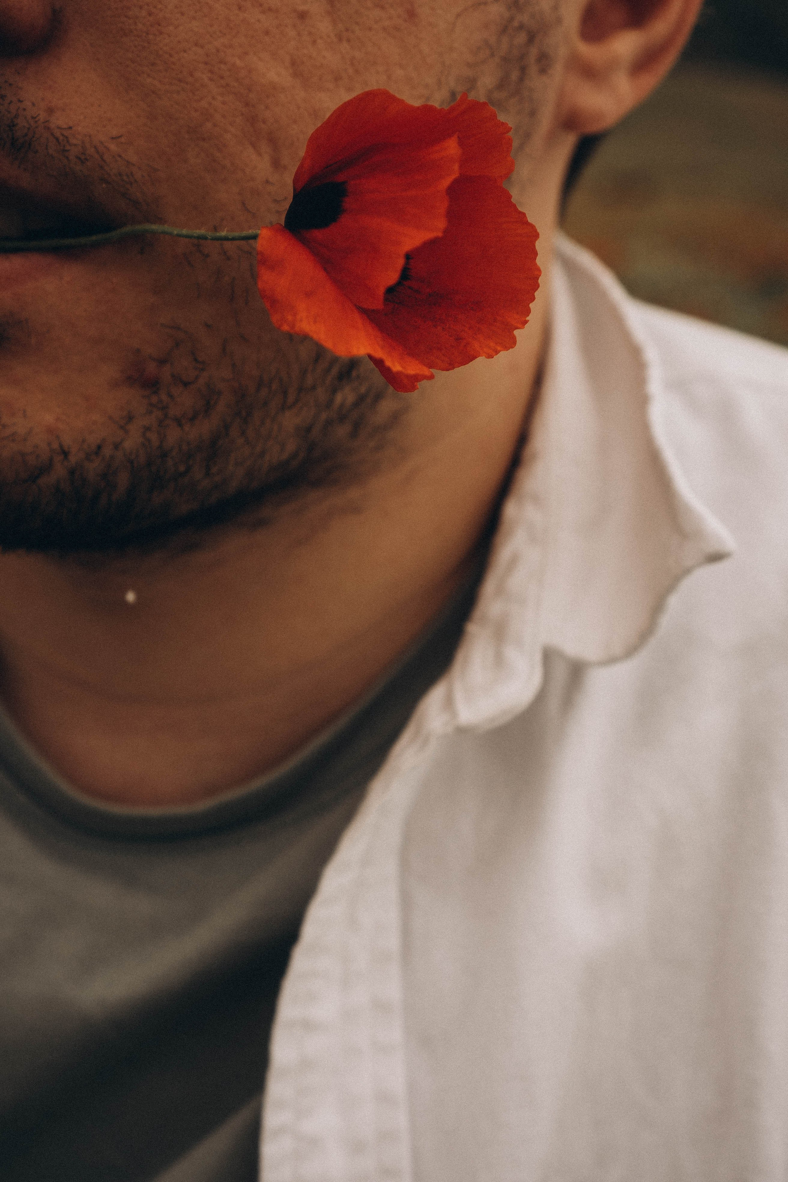 Маки. Профессиональный фотограф, Санкт-Петербург — Виктория Богомолова