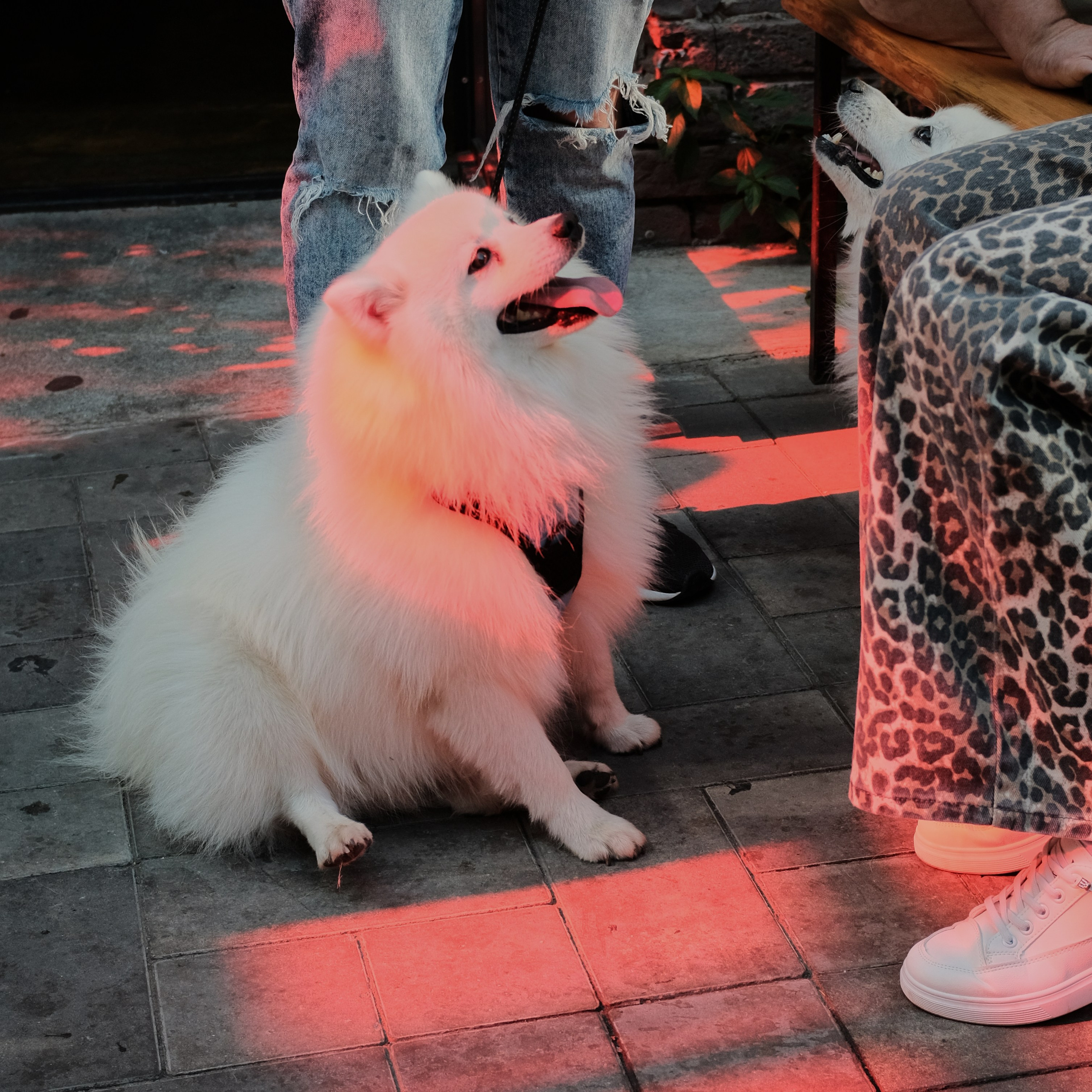 Rostov-on-Don. Creative travel photographer — Berg Daria