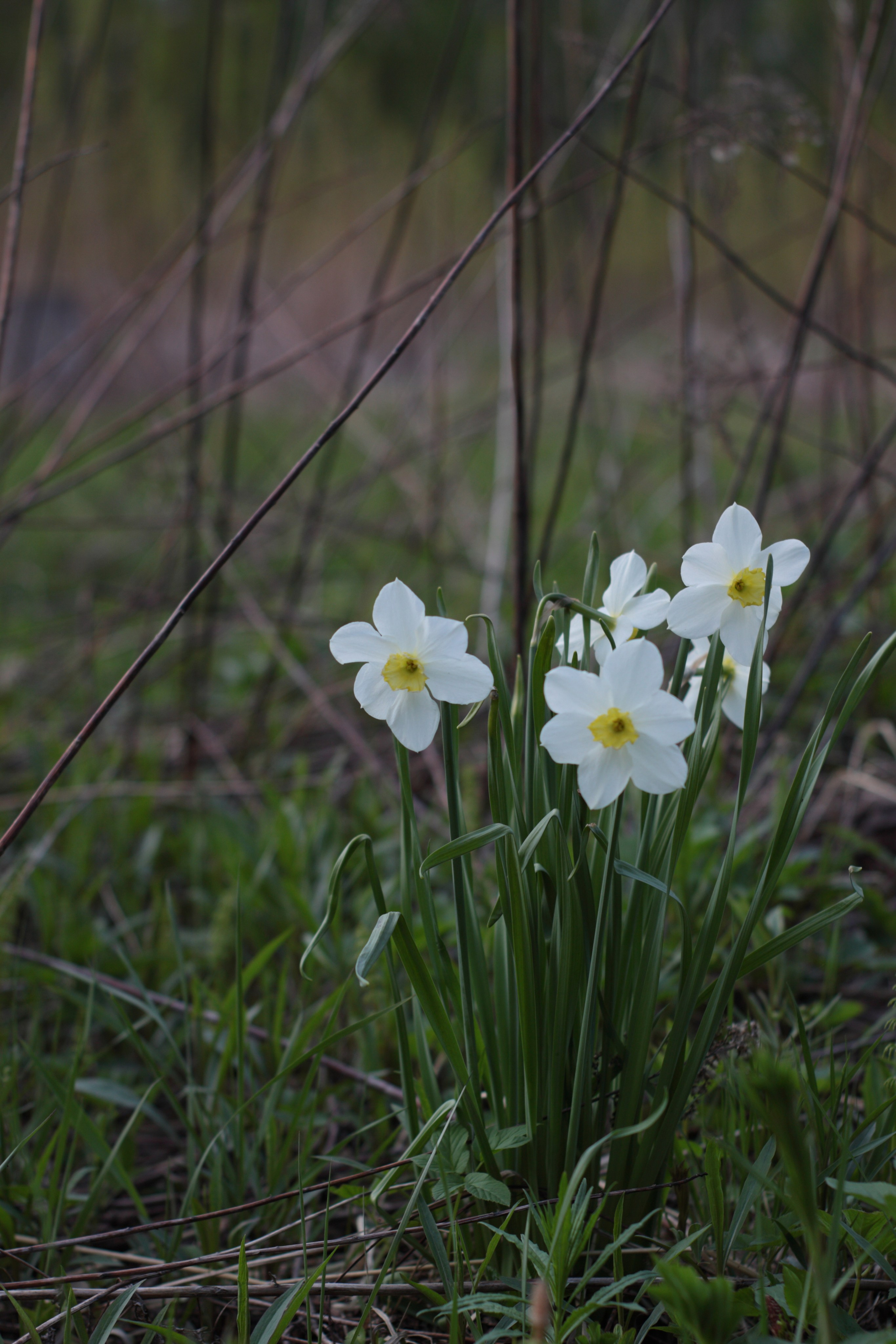 Старое природное, отбирала Katamount (Катерина Горохова). Главная