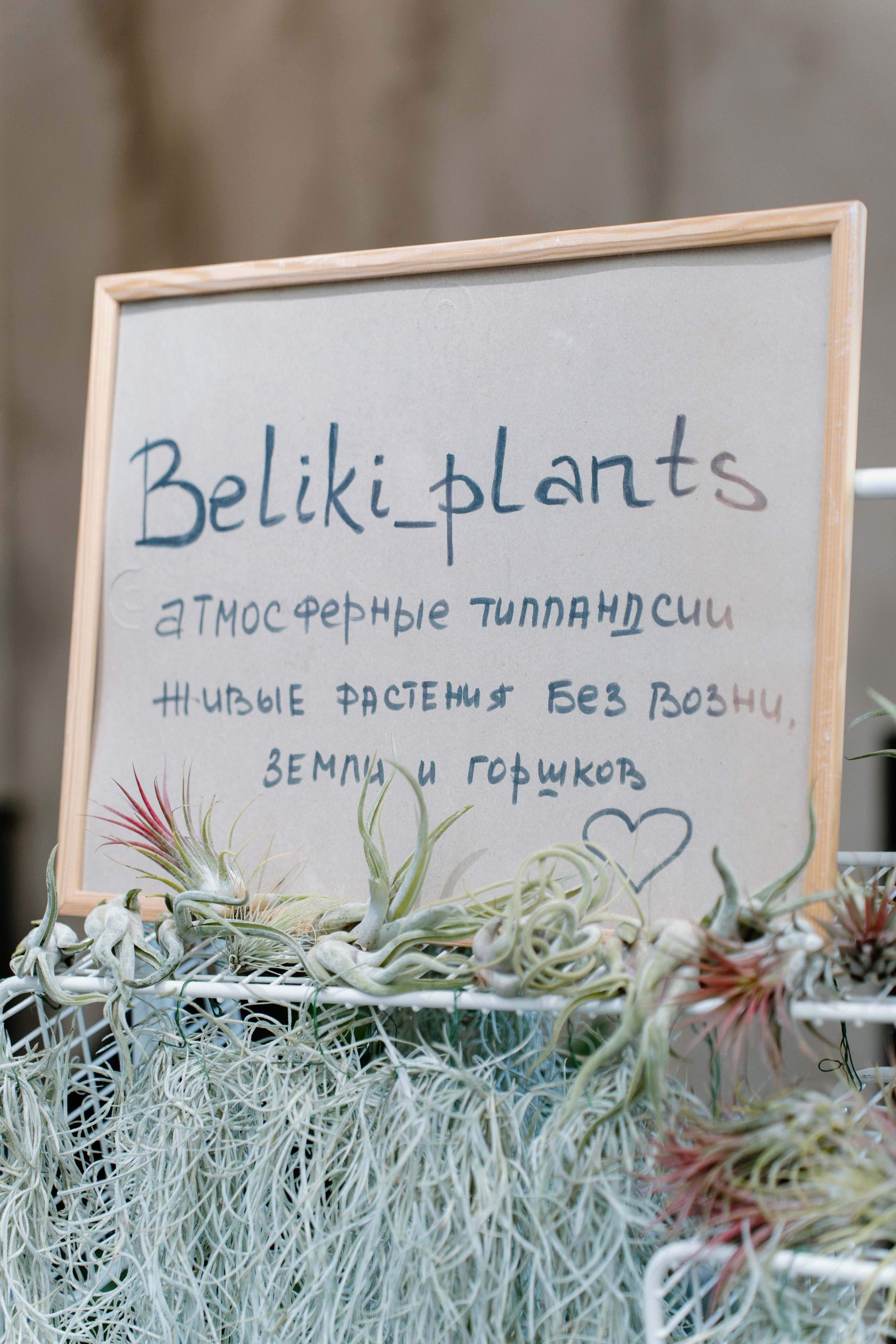 Festival Umerotvorine By Pramika. Я занимаюсь событийной, свадебной, товарной, студийной… фотографией