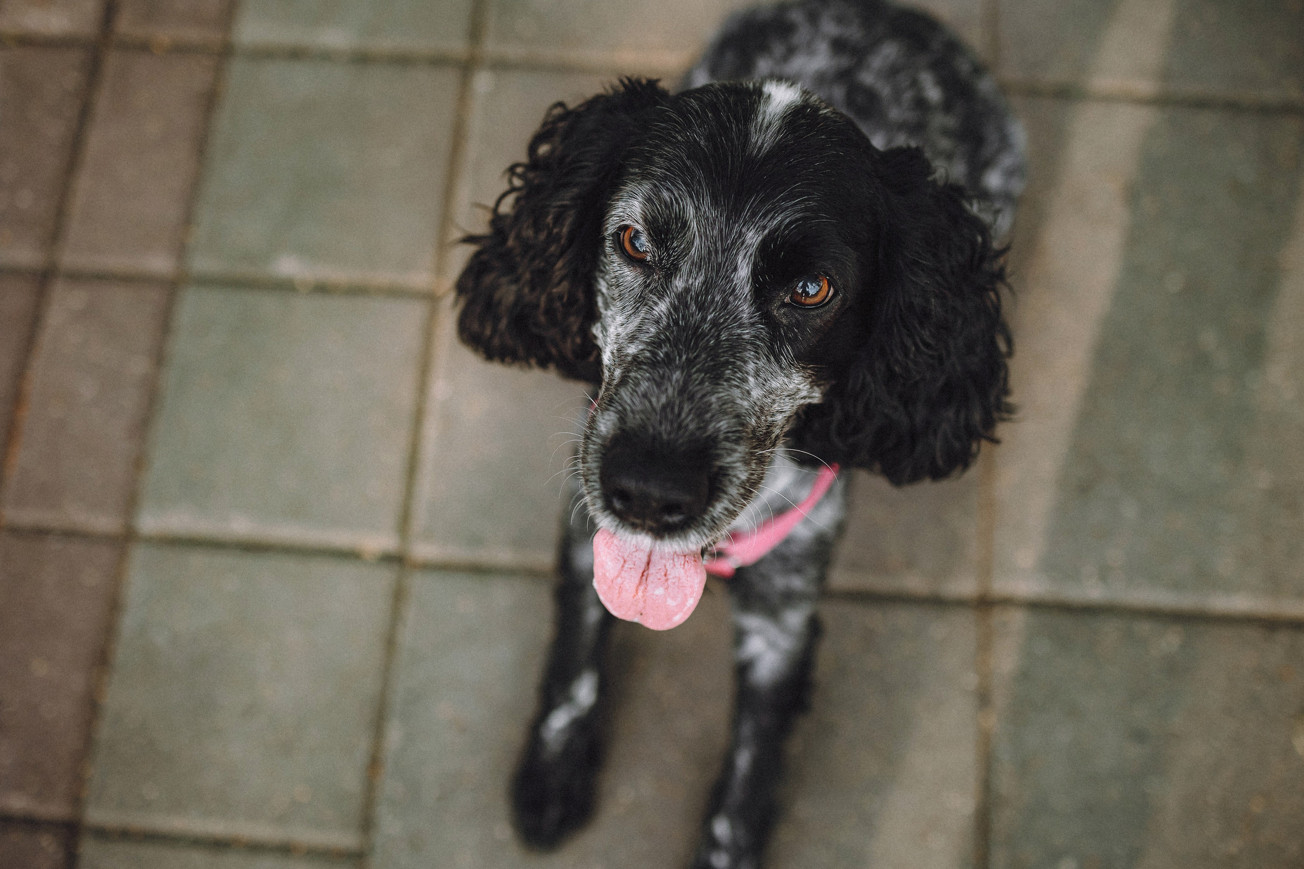 Маша и Ларри