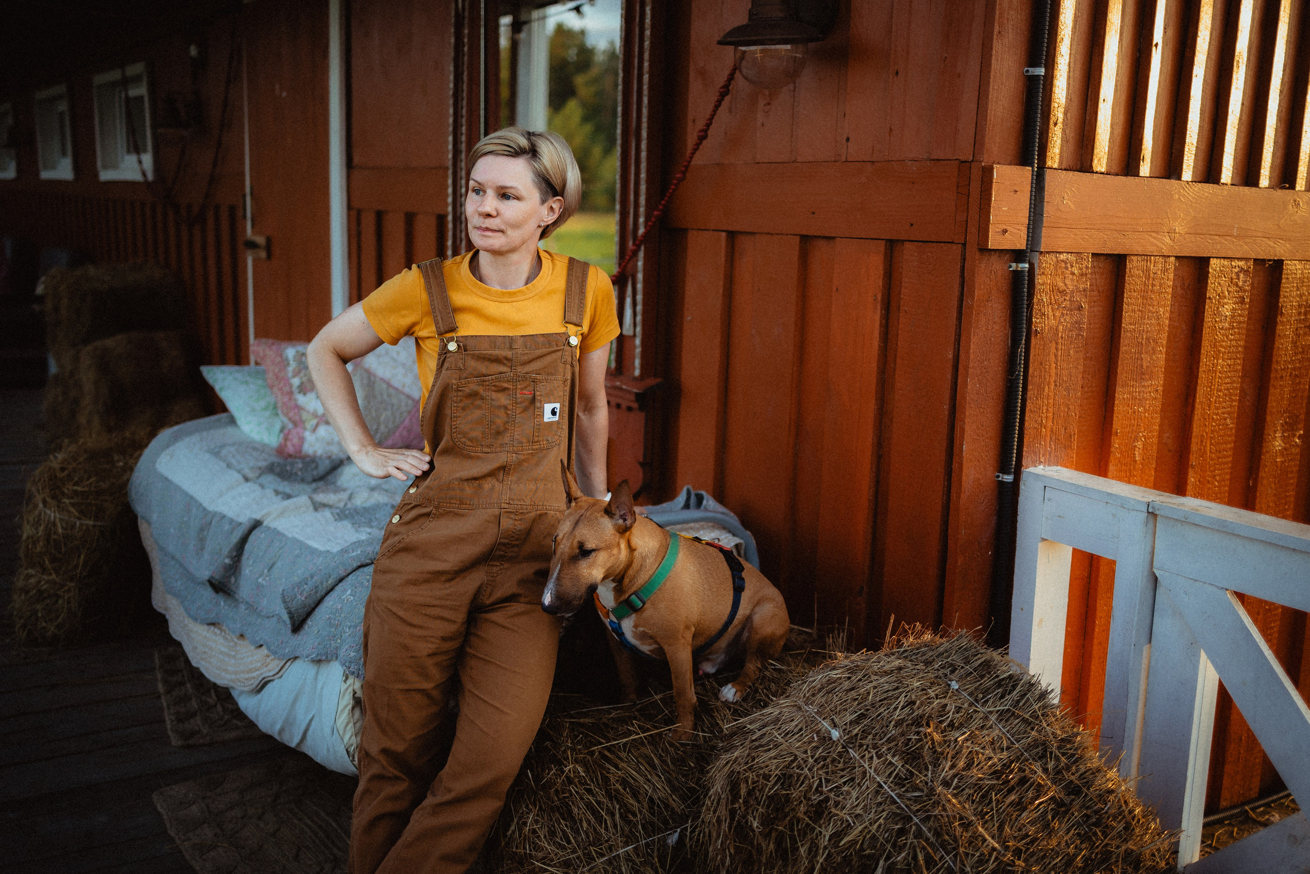 Выездной дог-тренинг от школы «Шерсть имею»