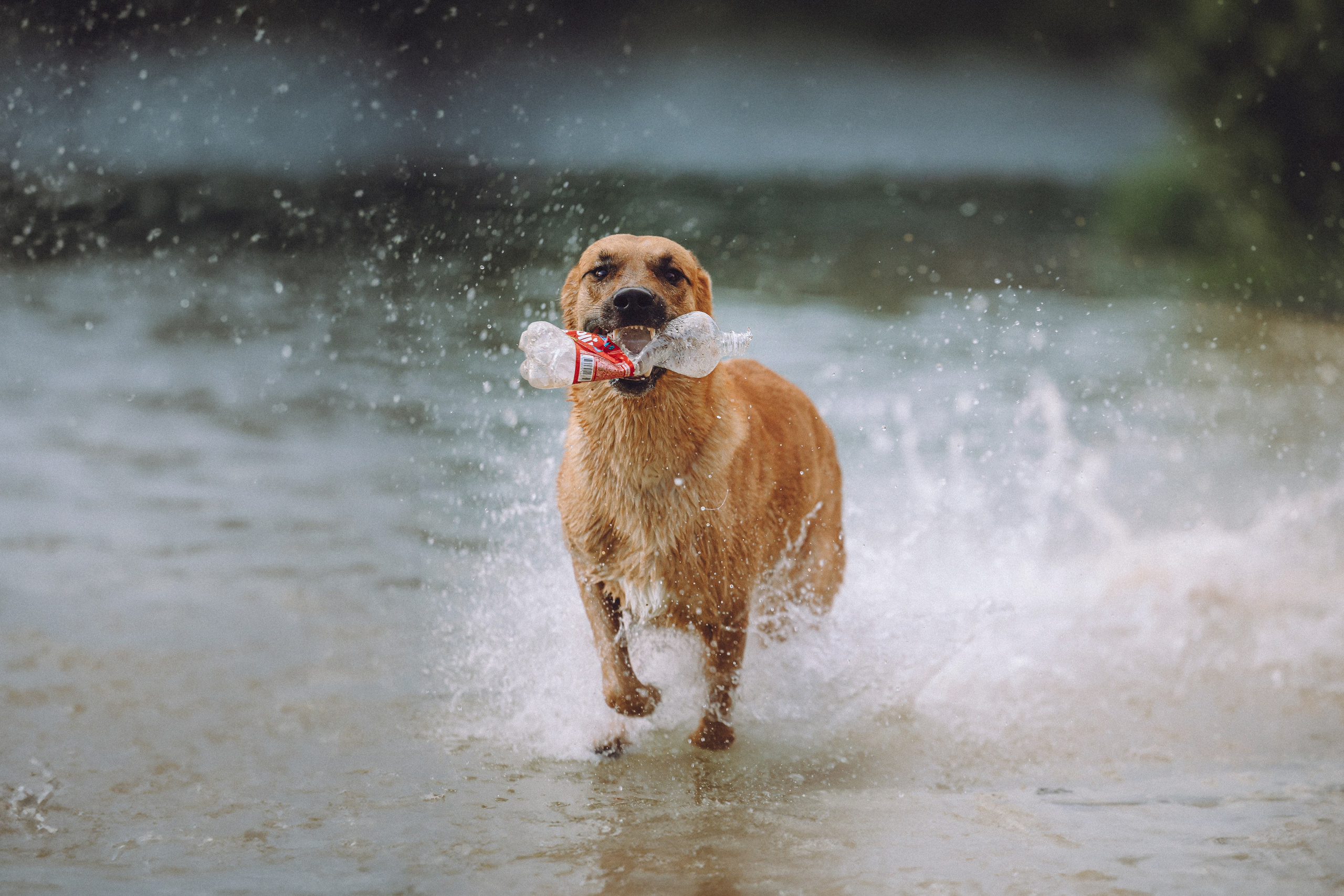 Роби, Тео и их семья