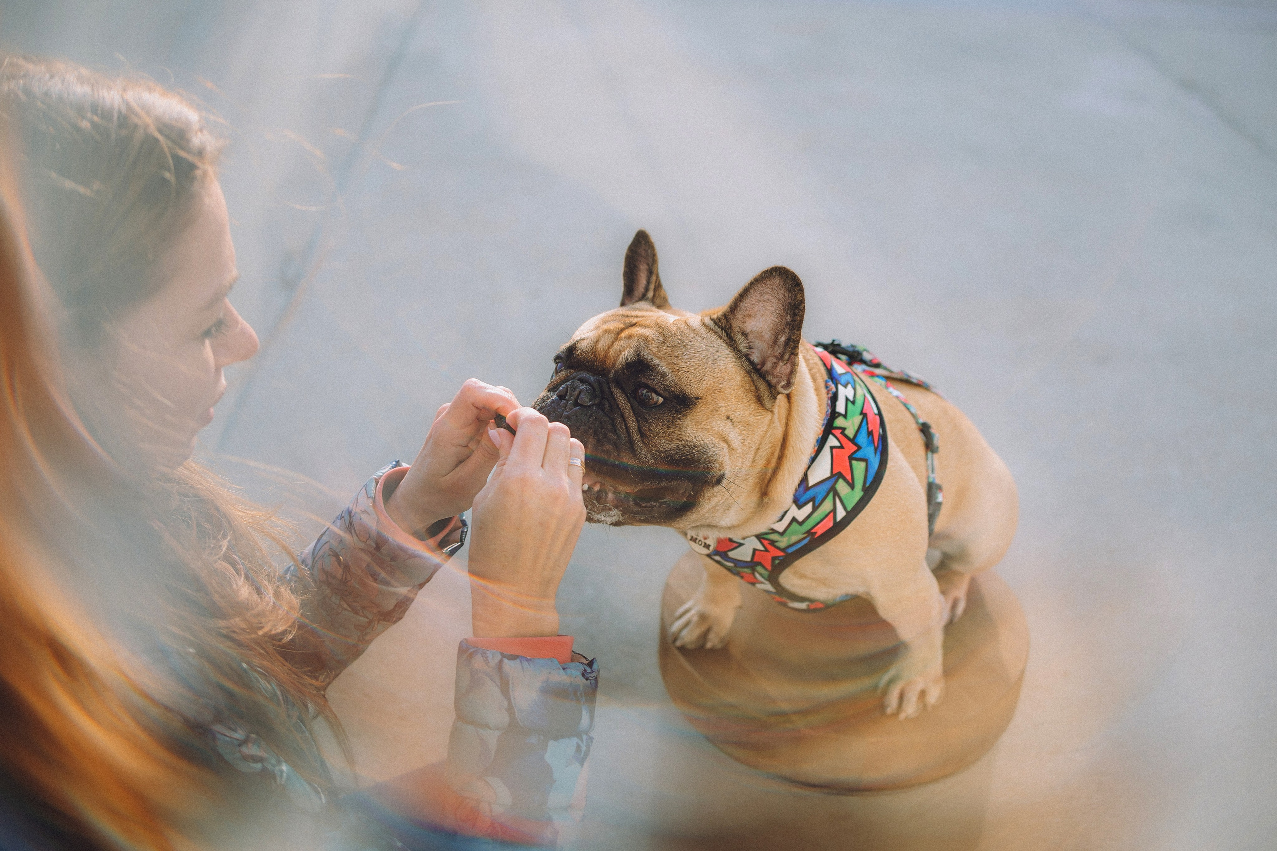 Настя, Женя и Хонор