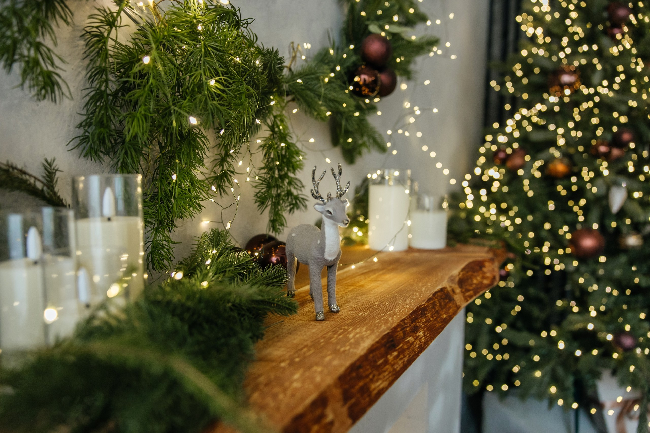 Студия Свет Темный зал. Семейный и детский фотограф в Твери Марина Марамыгина