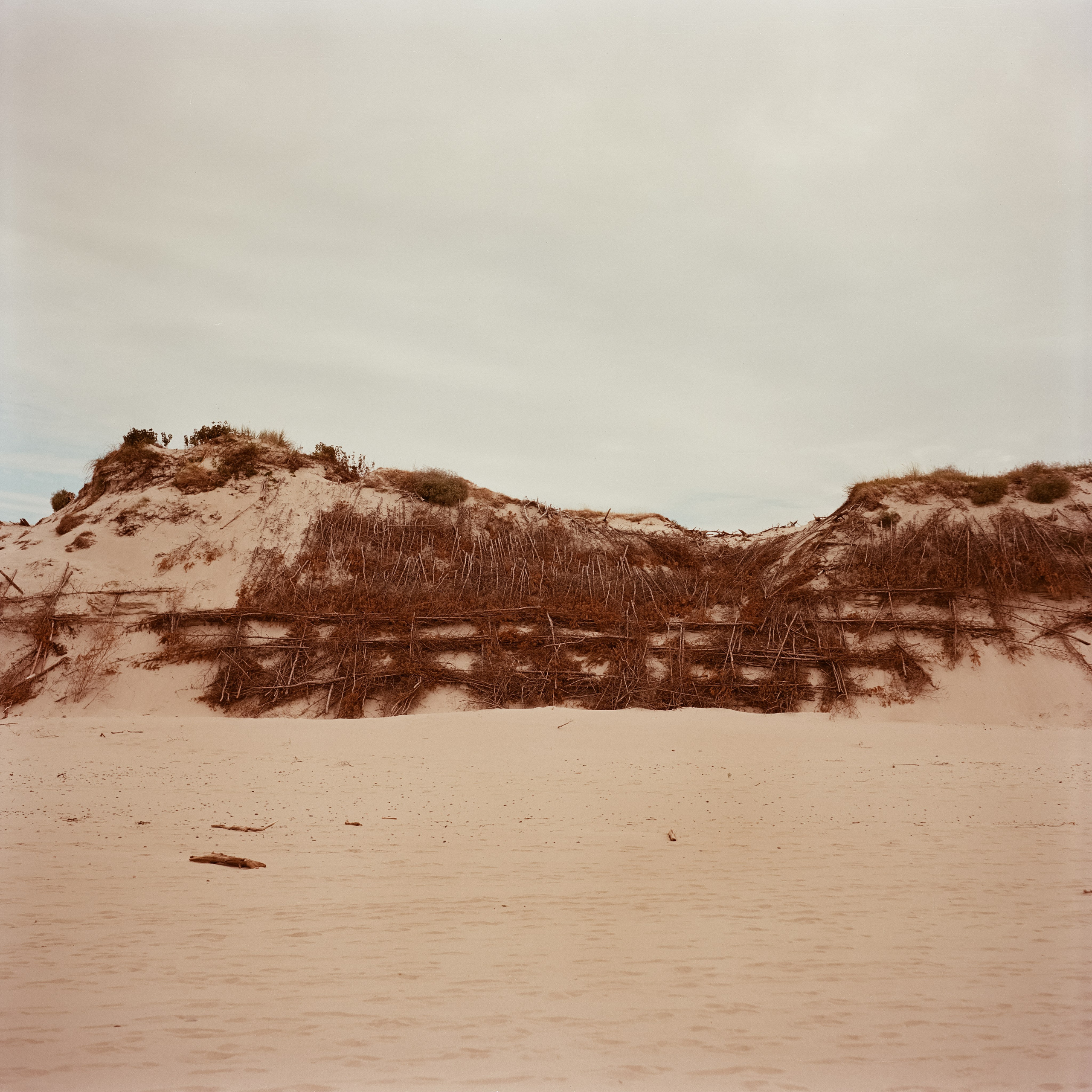 Куршская коса / Super Fujica-6 / Kodak Aeronega 100 (Kodak Aerocolor IV)