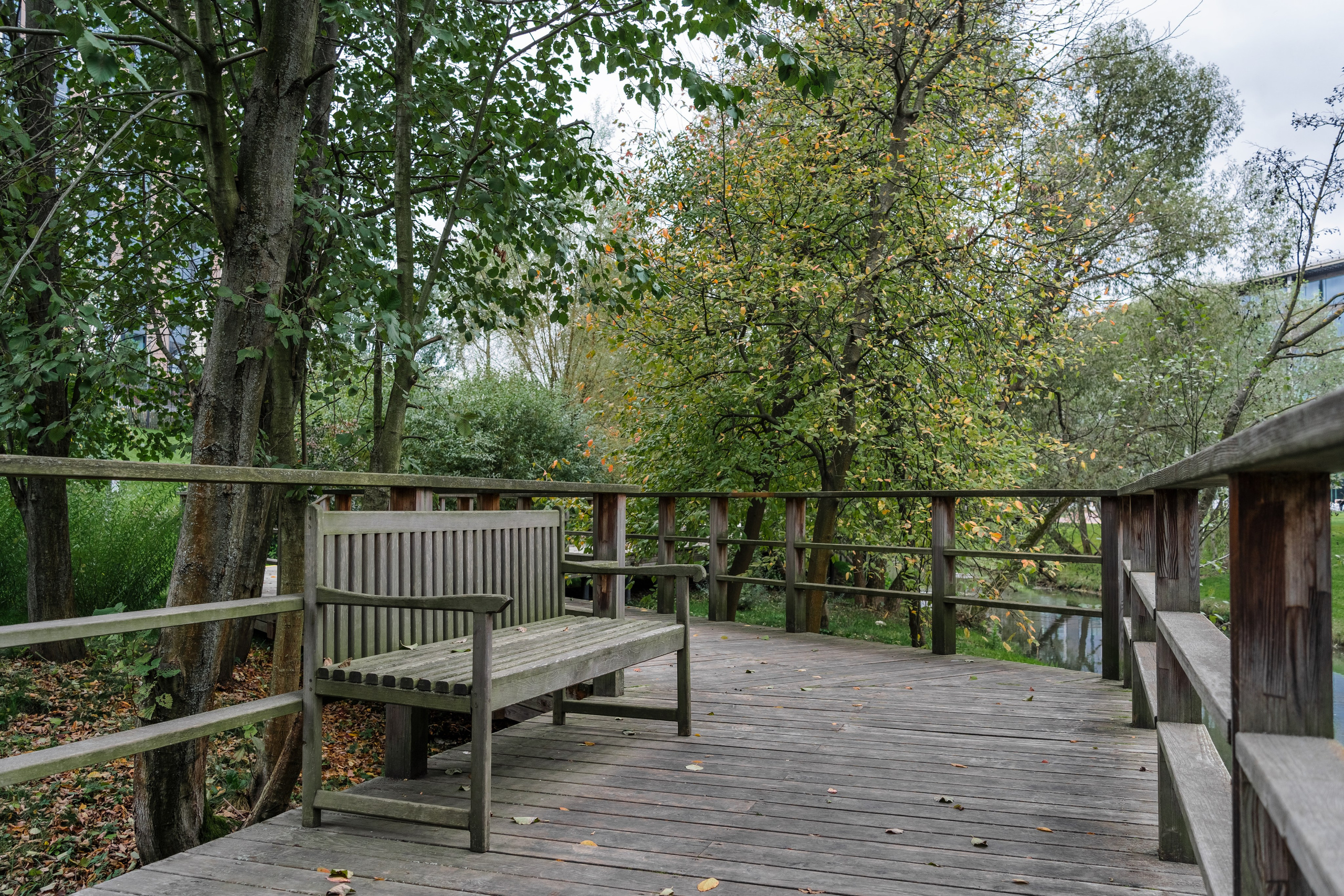 Skolkovo Park. Артамонов Александр | Архитектурный и ландшафтный фотограф